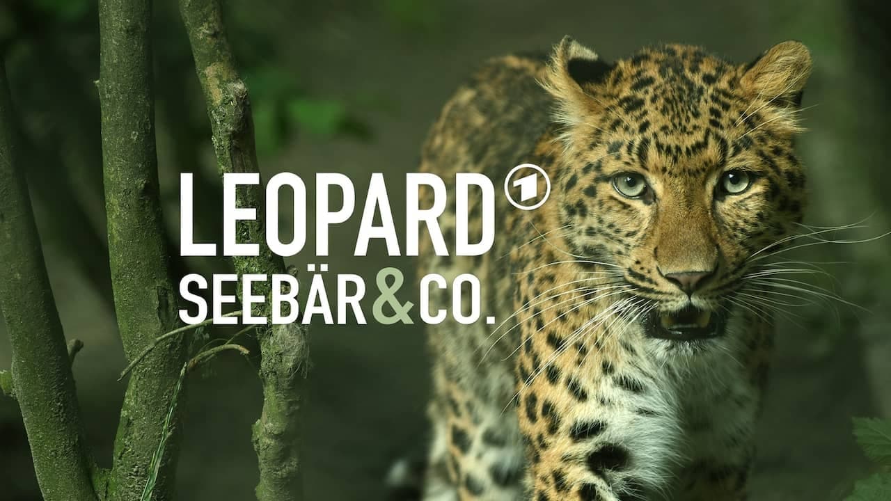 Leopard, Seebär & Co.