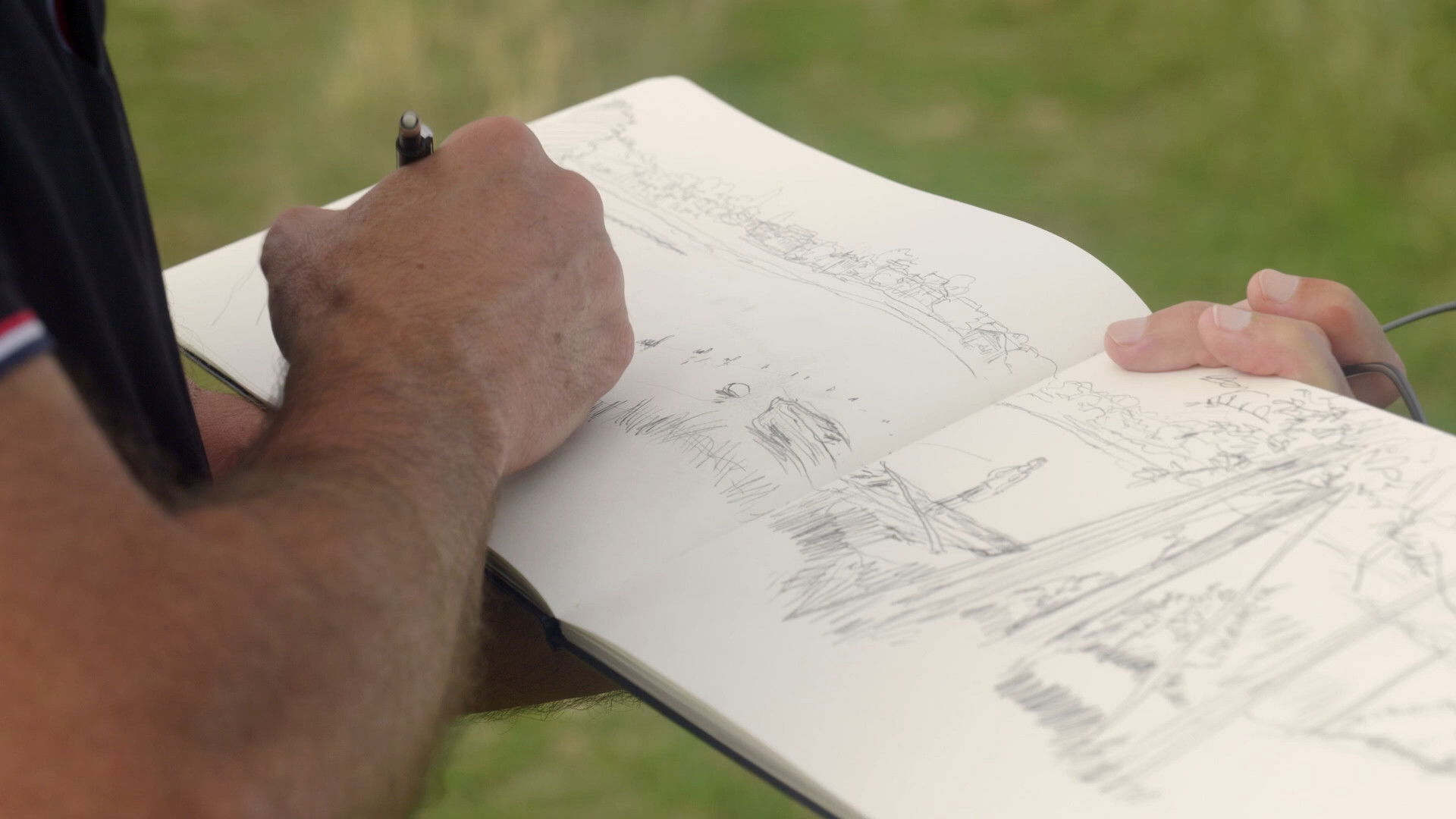 La disparition des lucioles