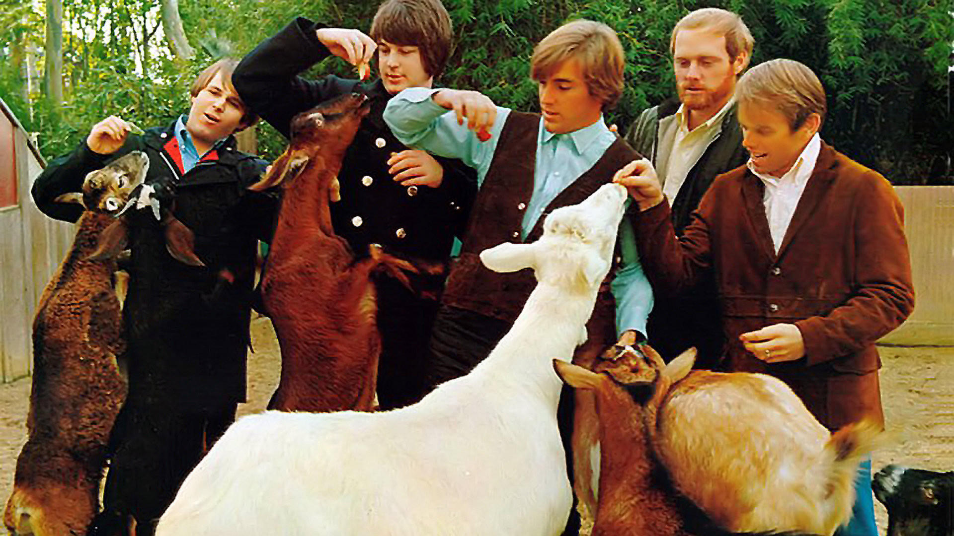 The Beach Boys: Endless Harmony