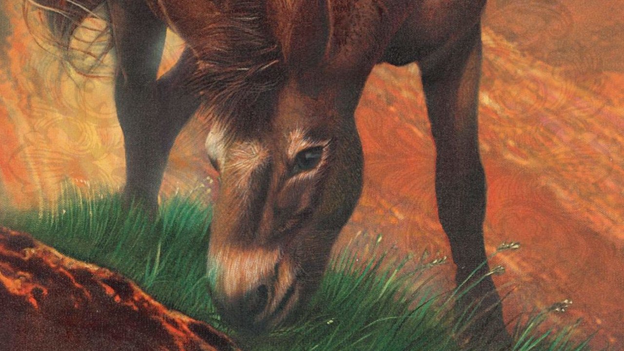 Brighty of the Grand Canyon