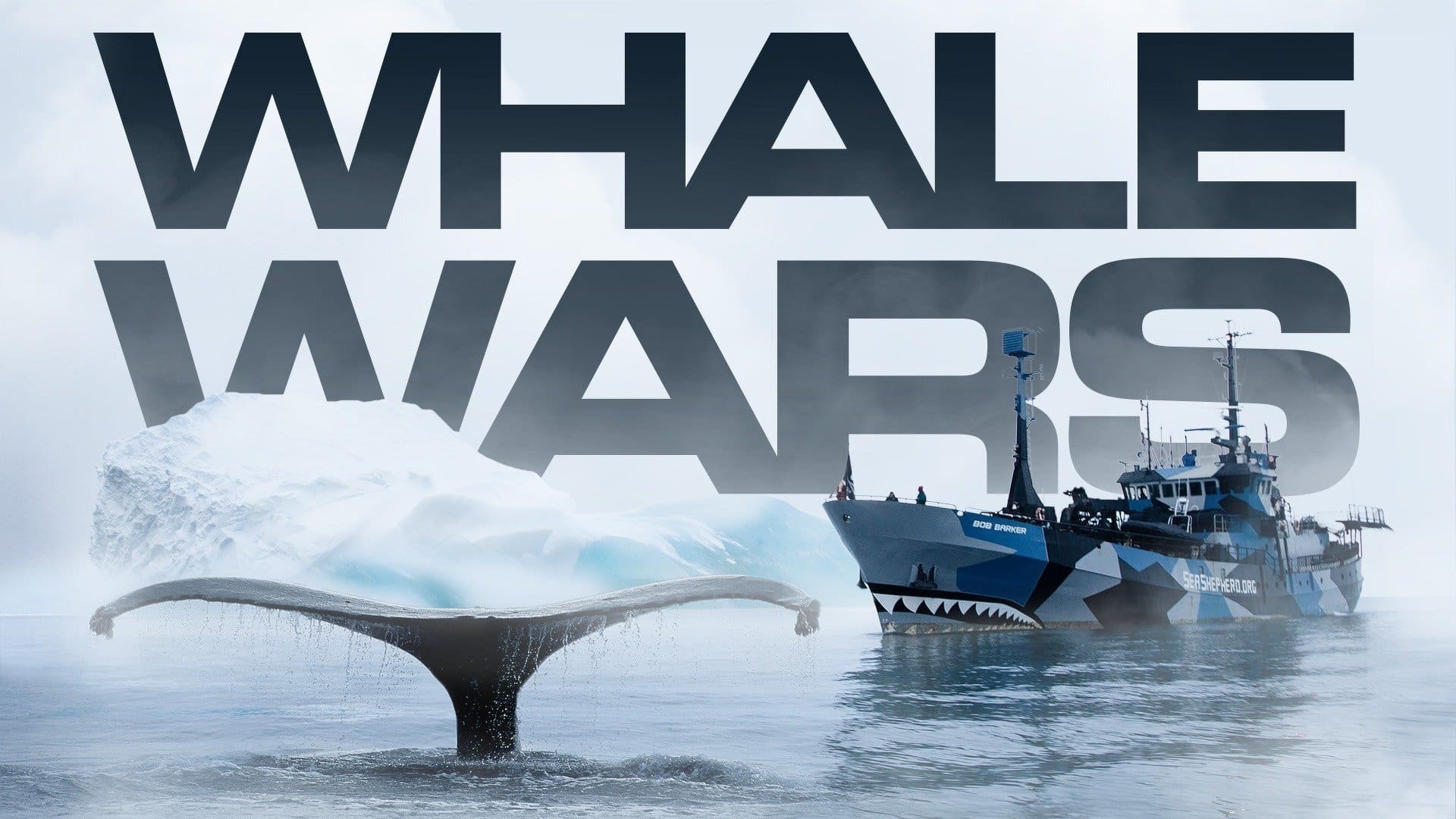 Whale Wars