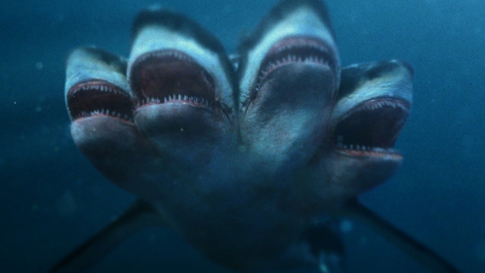 5-Headed Shark Attack