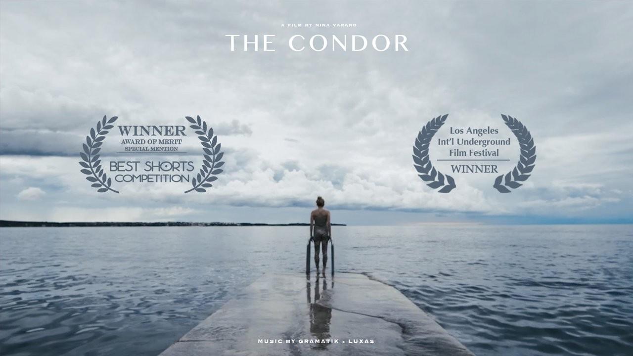 The Condor