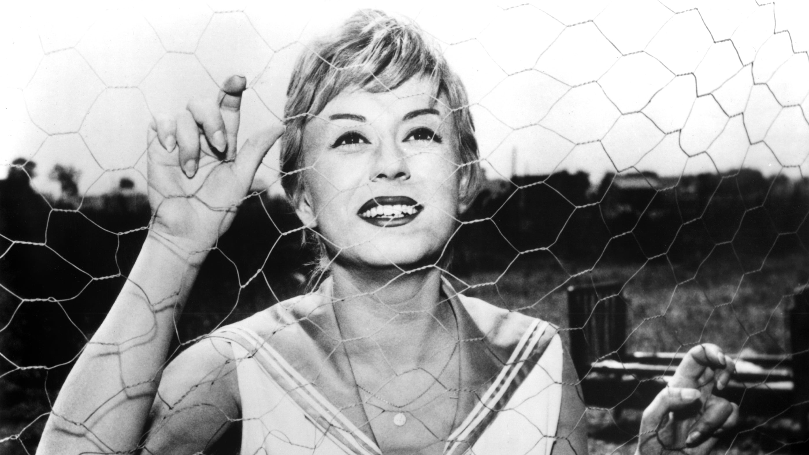 Nights of Cabiria