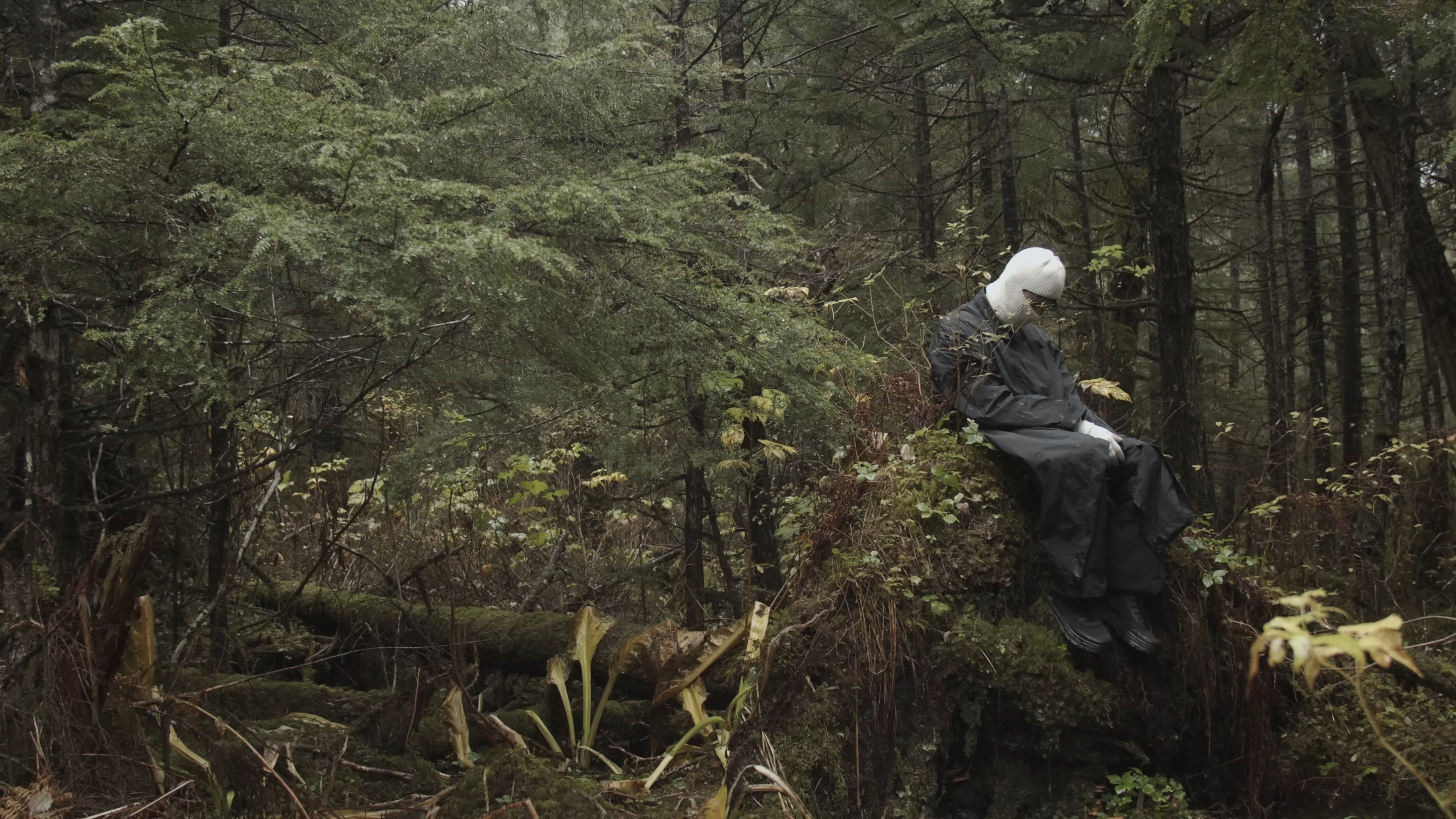 I Didn't Mean to Haunt You