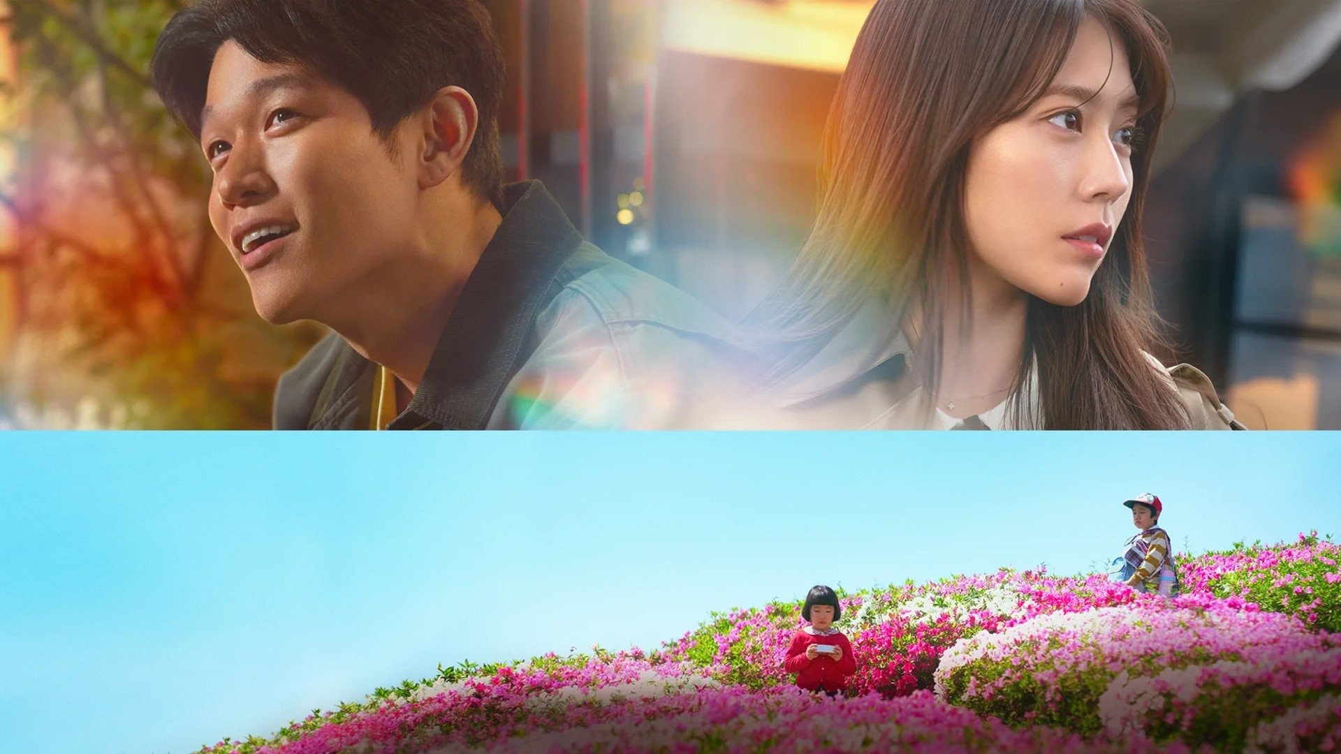 Petals and Memories