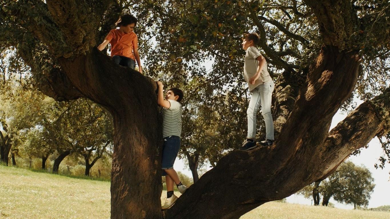 Sara, Manuel e João