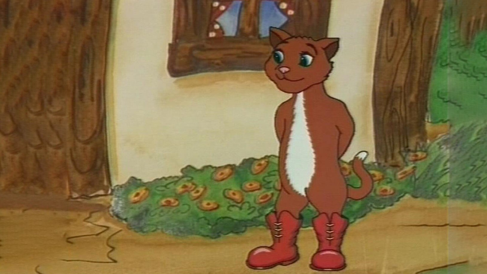 The Cat on Boots
