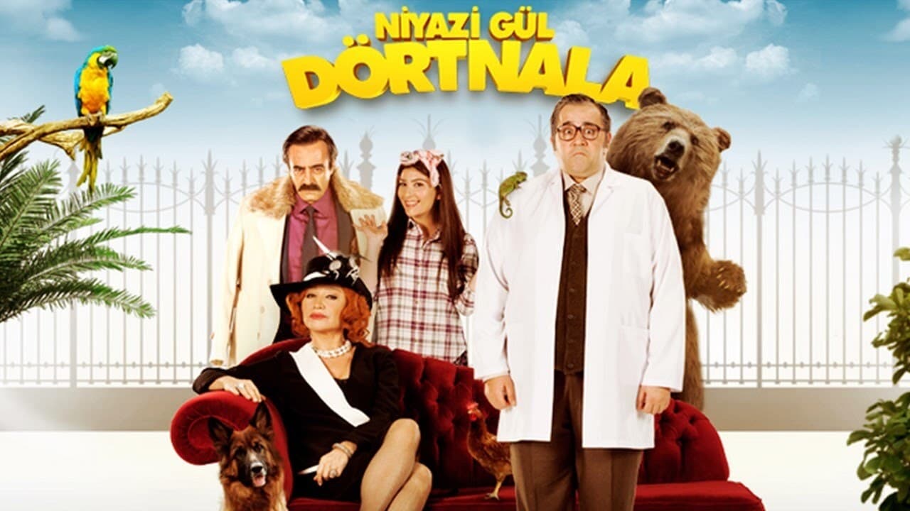 Niyazi Gül Dörtnala