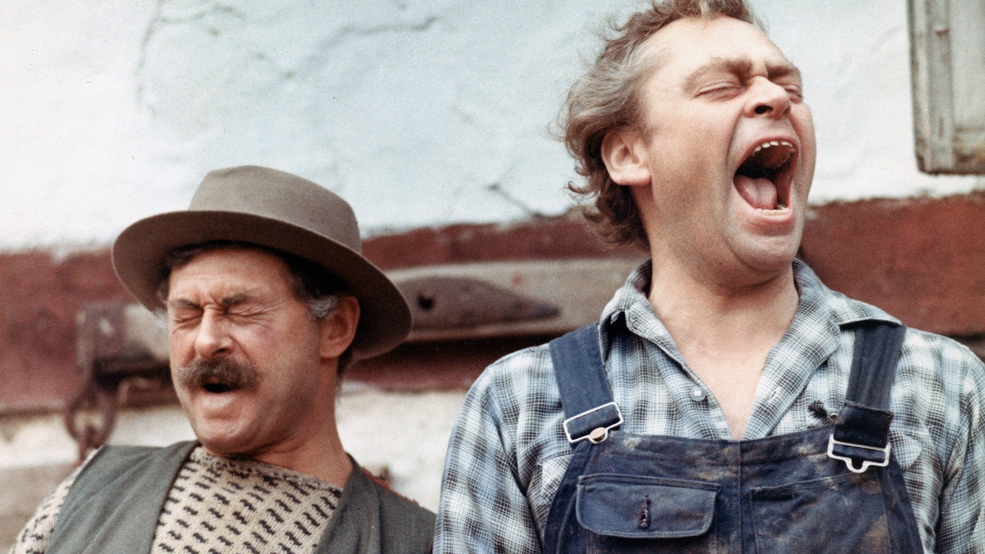 Me and My Kid Brother