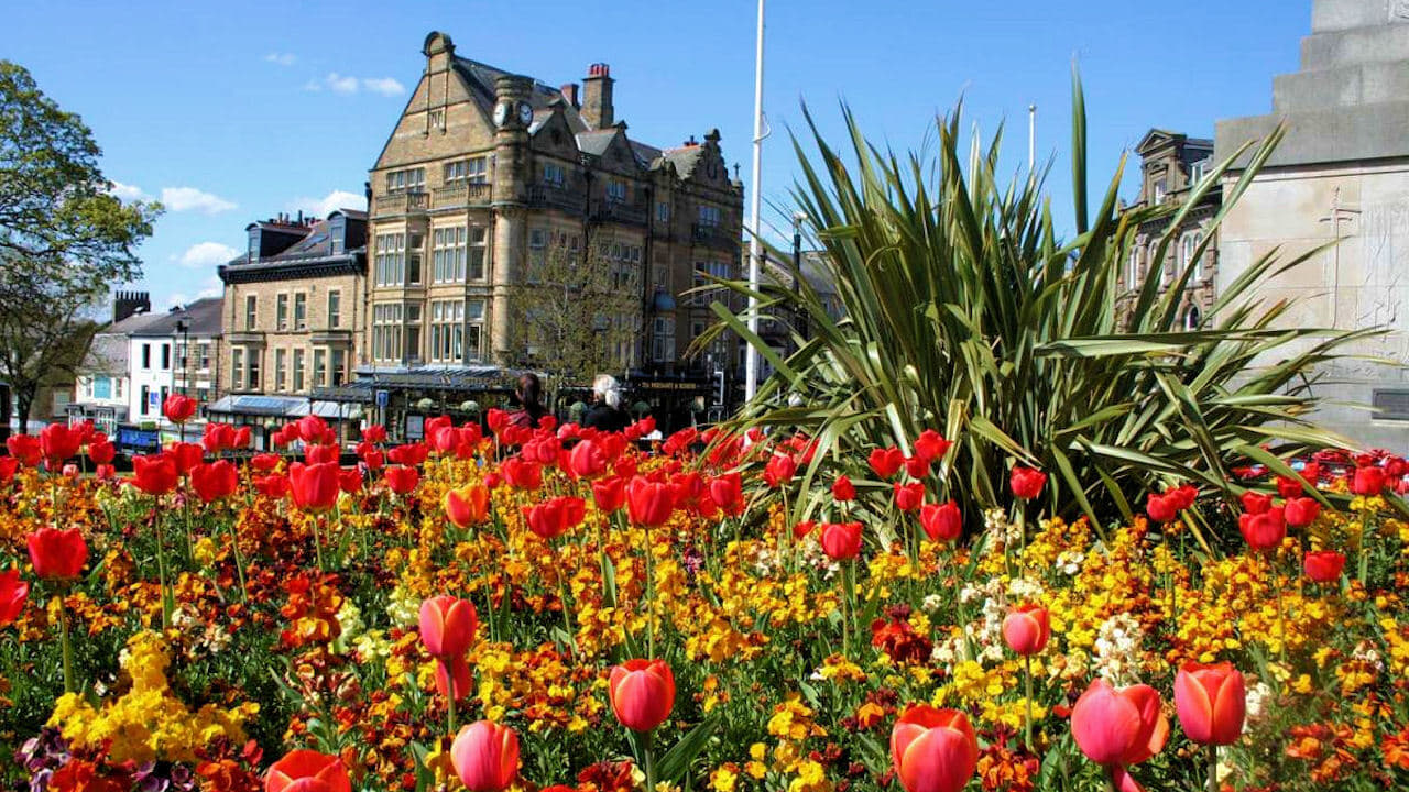 Britain in Bloom