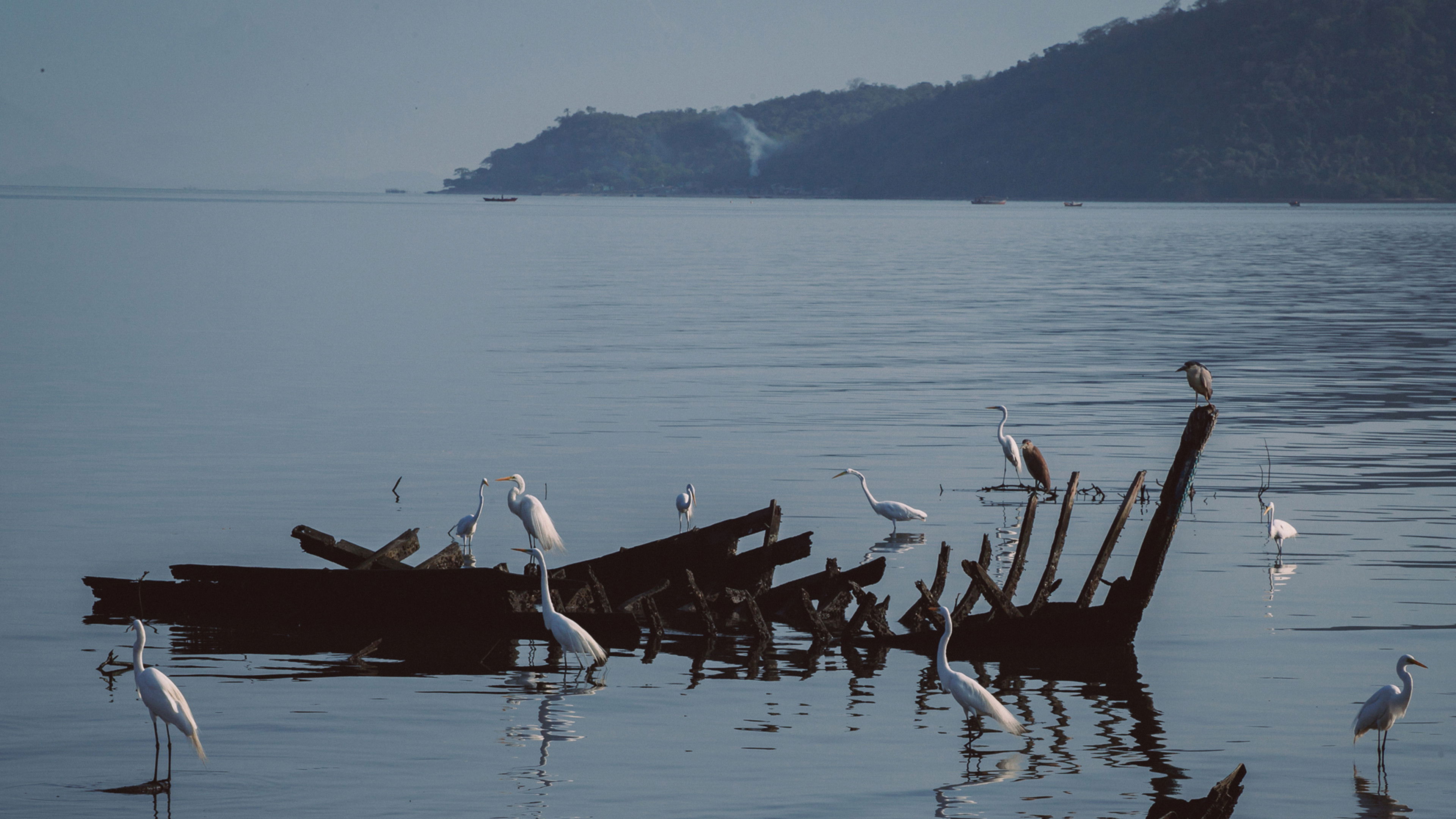 Antes do Último Adeus