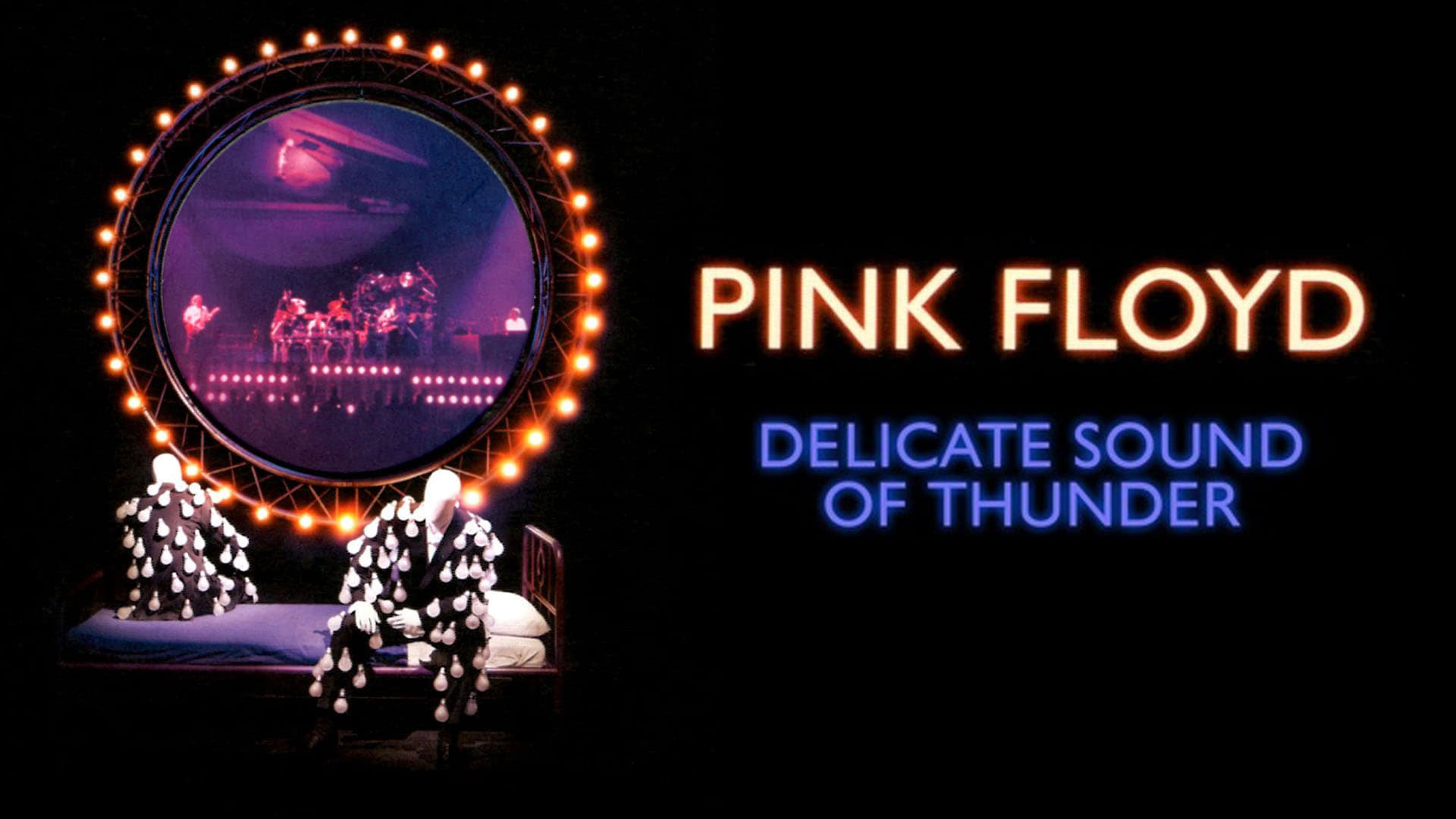 Pink Floyd: The Later Years, Vol 2 - Delicate Sound of Thunder