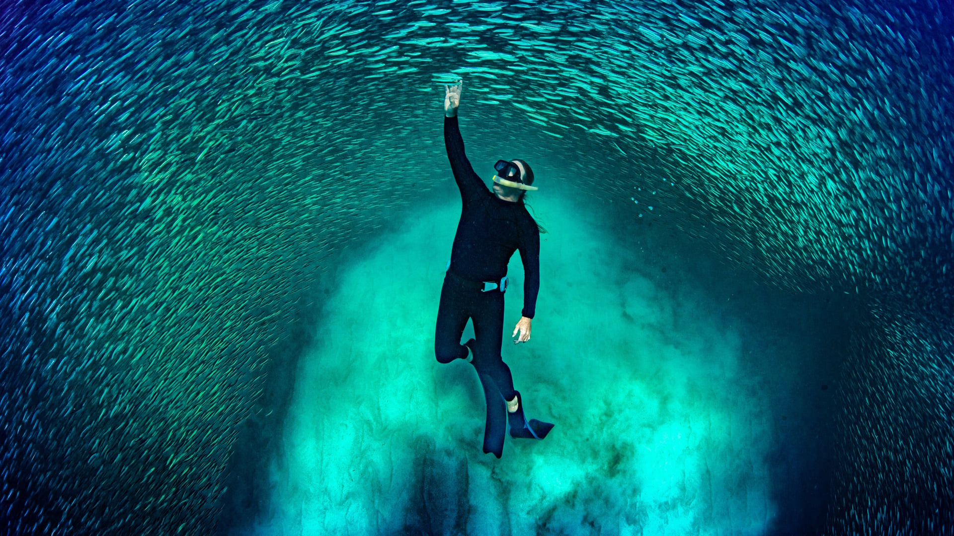 Ningaloo Nyinggulu