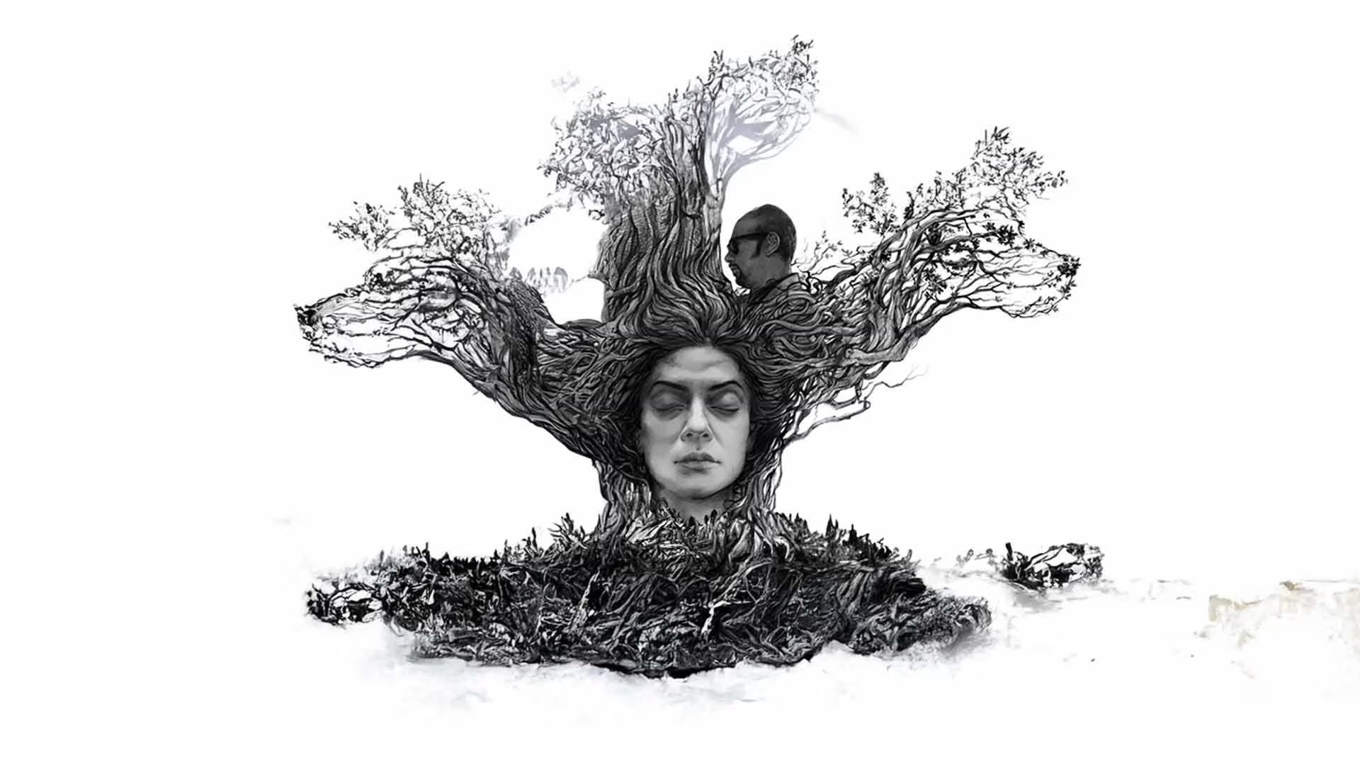 Nirbaak