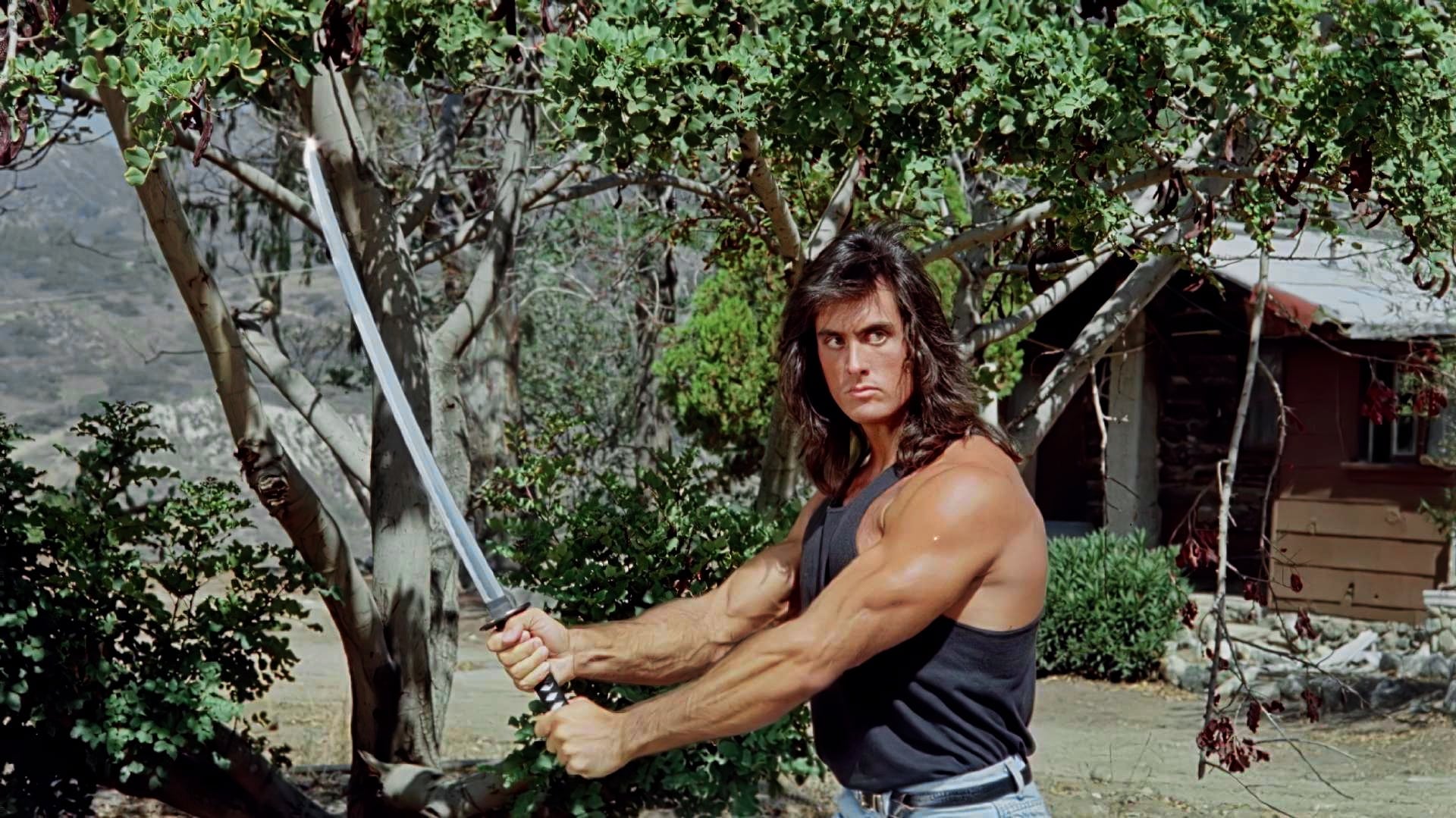 Samurai Cop