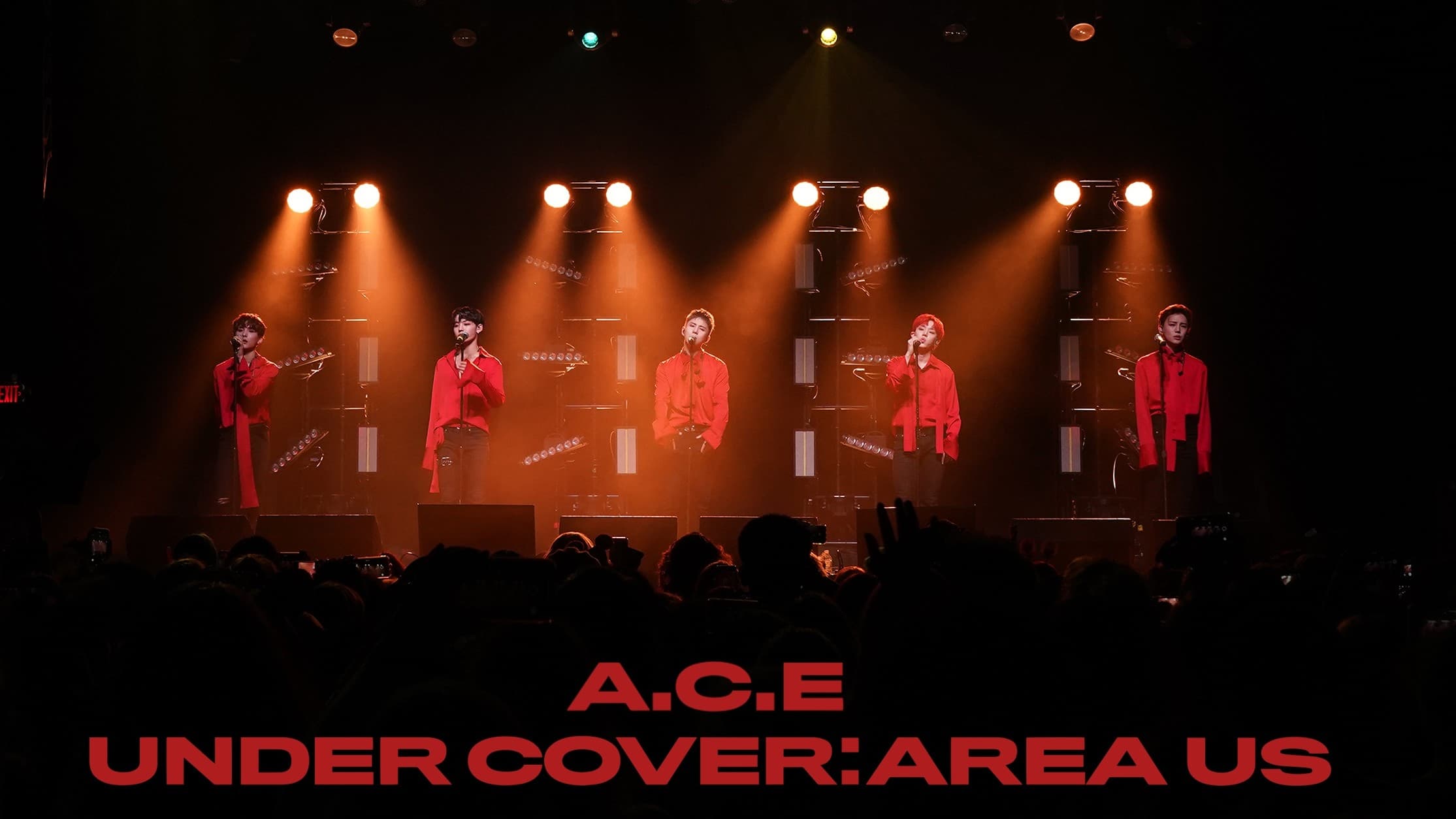 A.C.E UNDER COVER : AREA US TOUR DVD