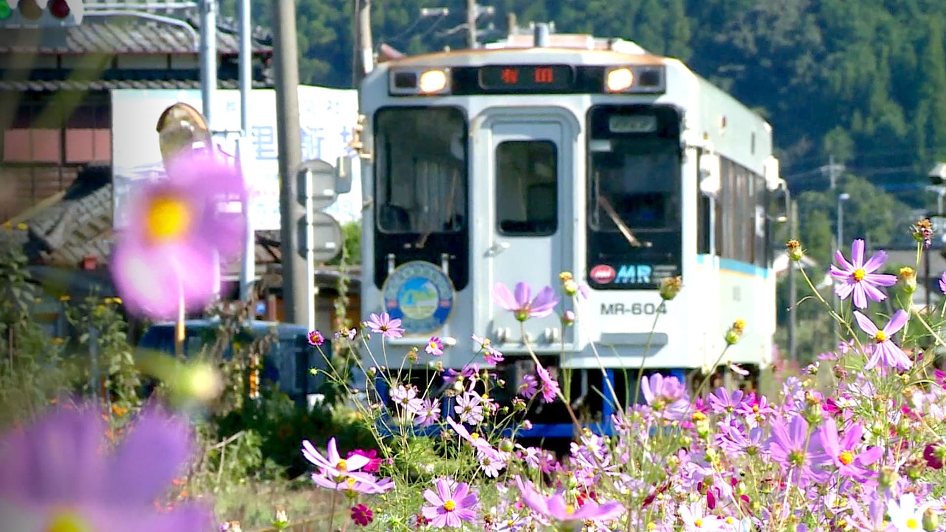 Train Cruise