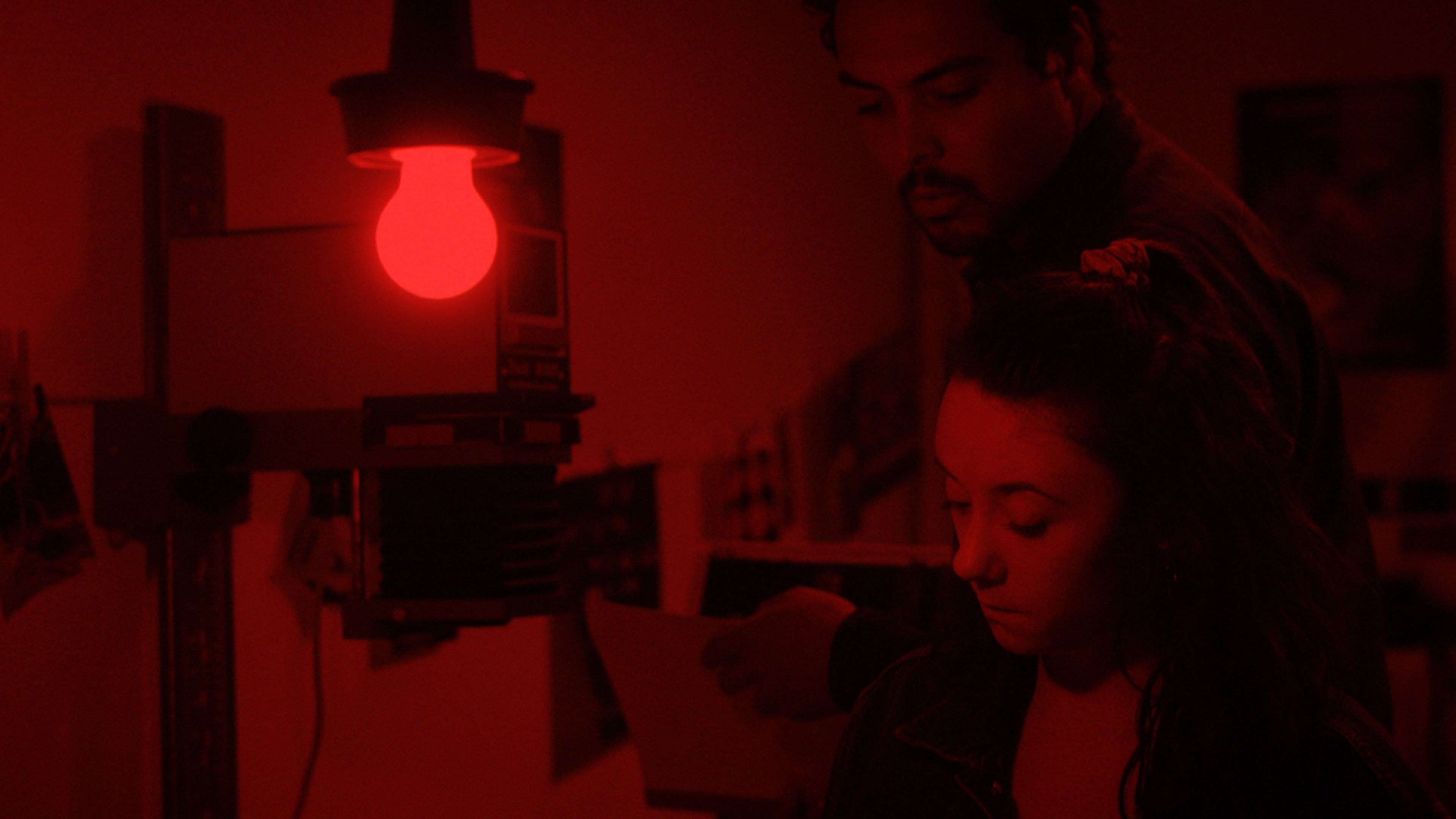 Le jour où un zèbre devint tigre