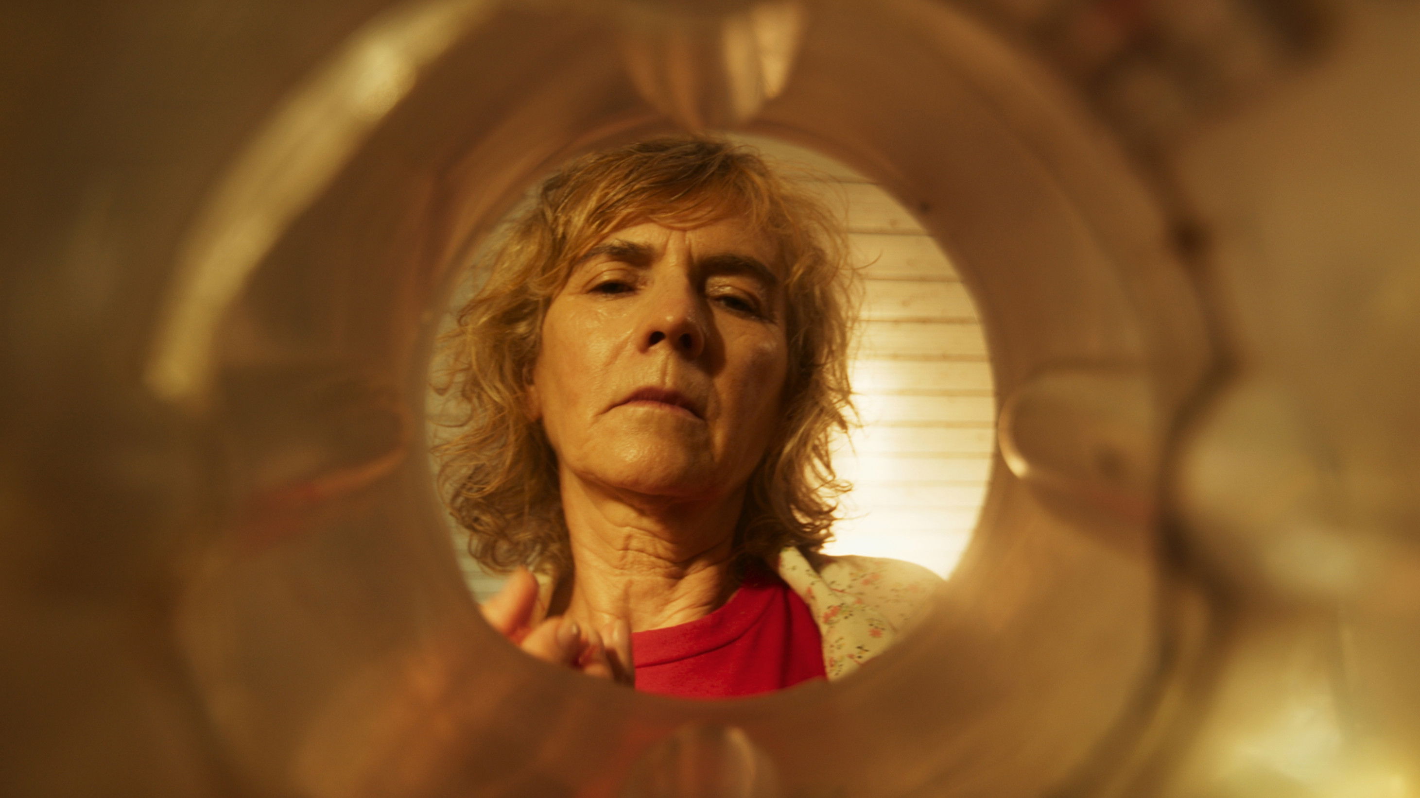 Ilza Precisa de Tomates