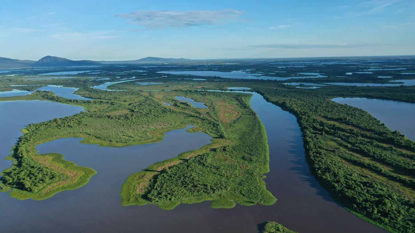 Naturwunder Pantanal - Brasiliens geheimnisvolle Wildnis