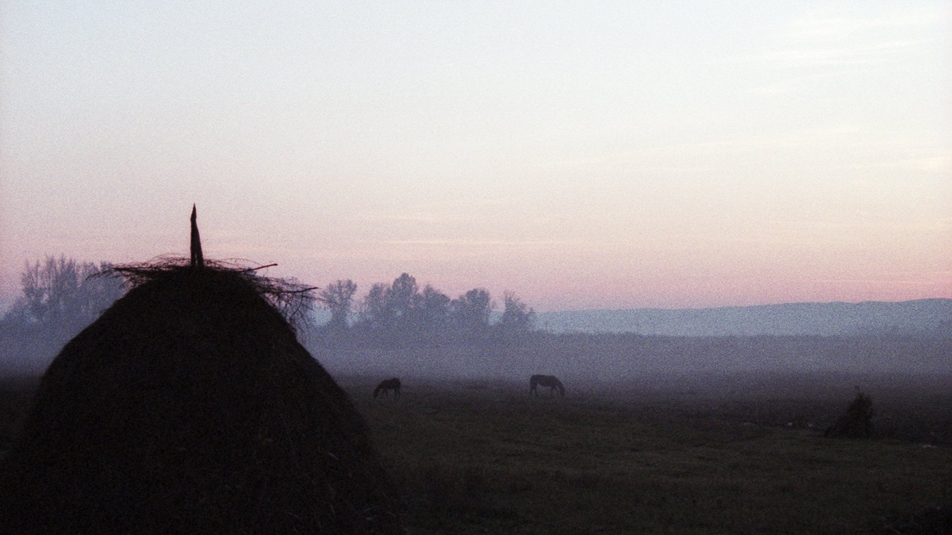 A Short Story of Absence and Return