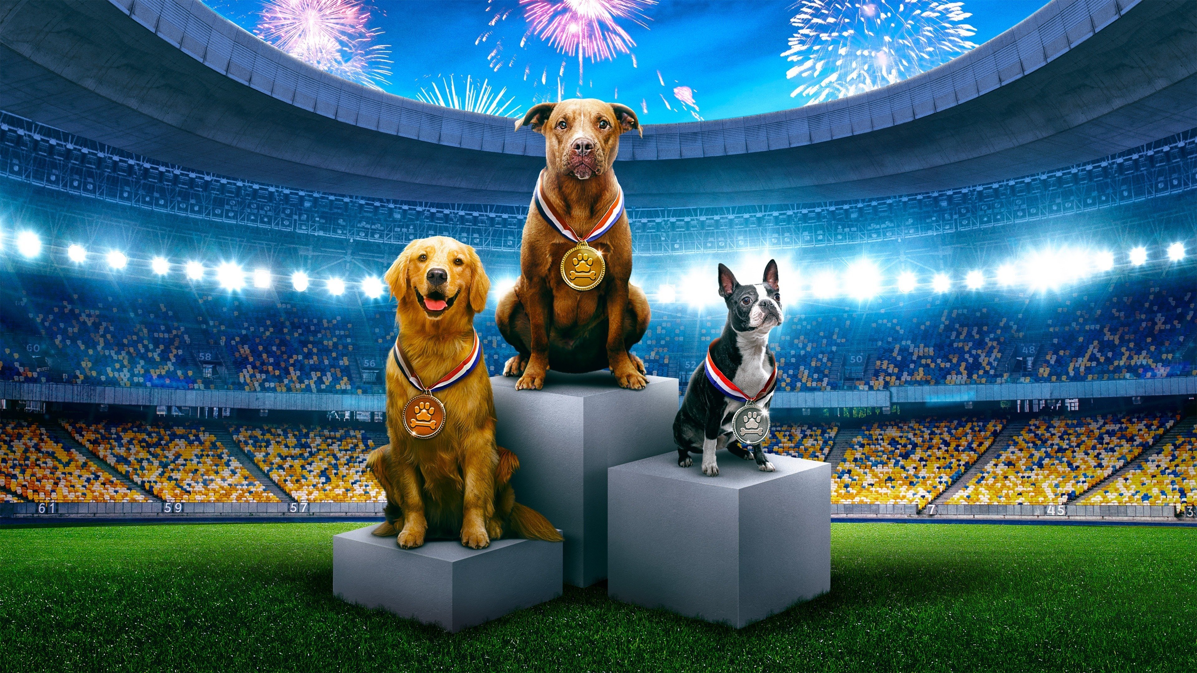 Puppy Bowl Presents: The Summer Games