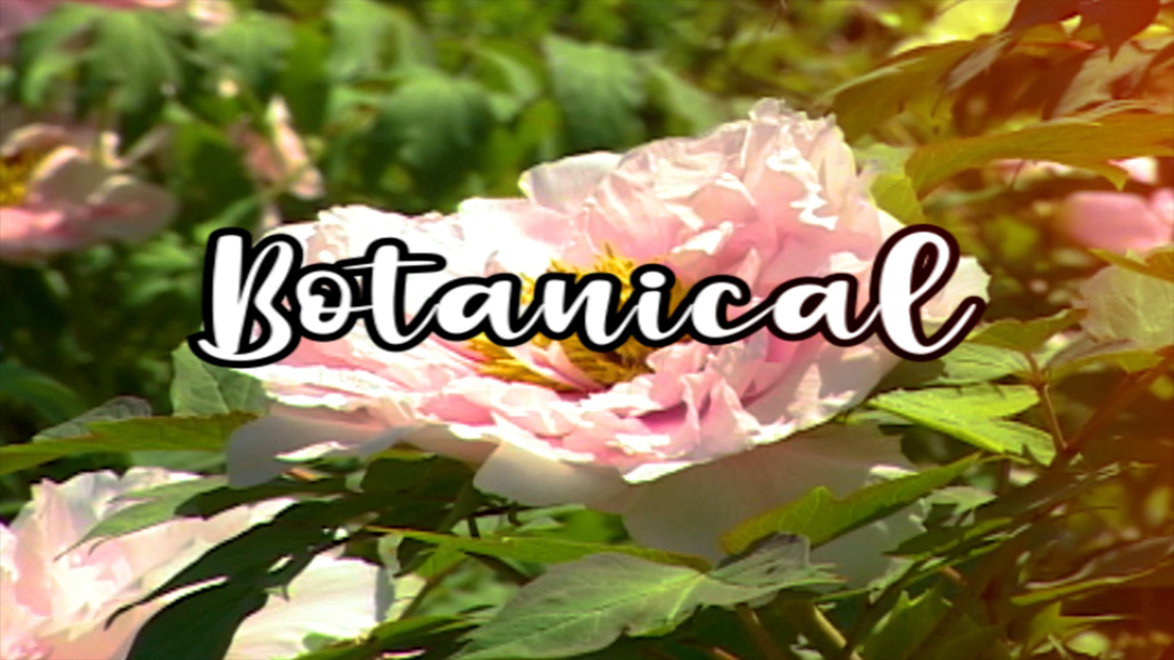 Bloom Skateboards Presents Botanical