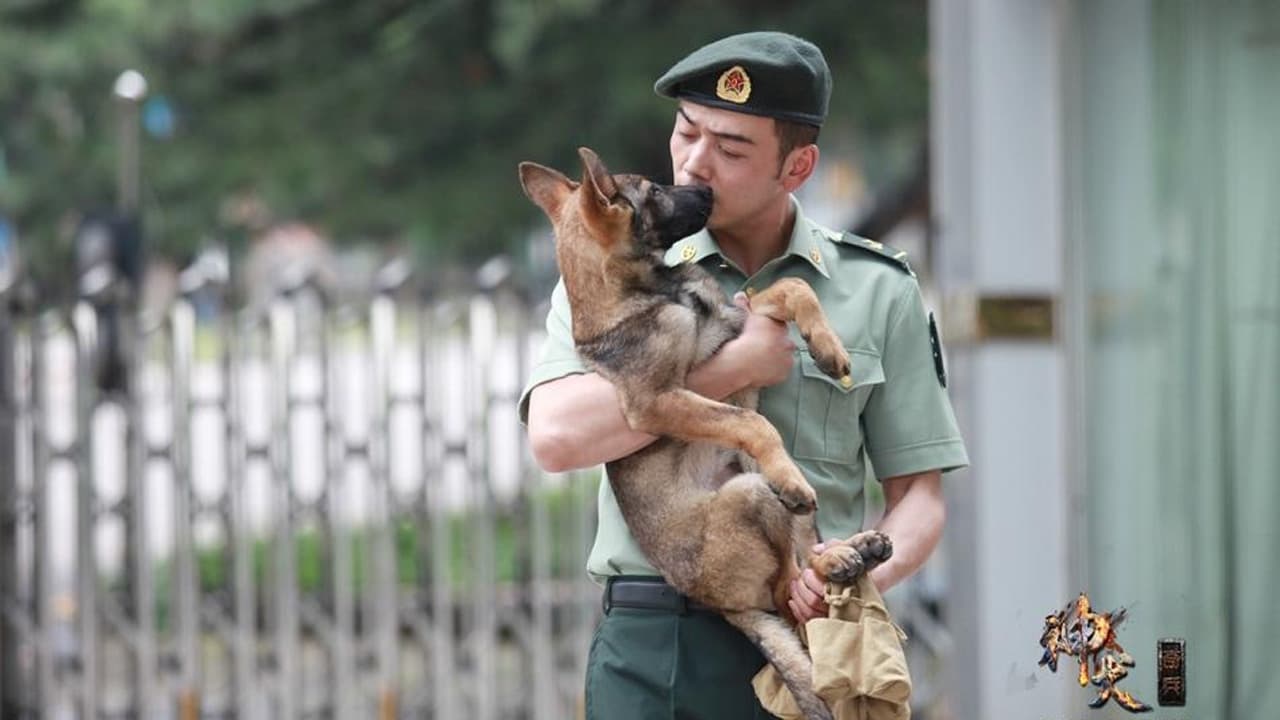 神犬奇兵