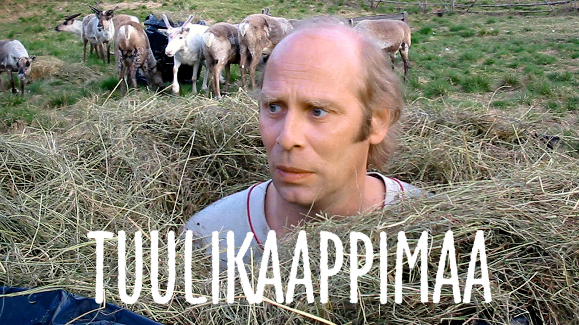 Tuulikaappimaa