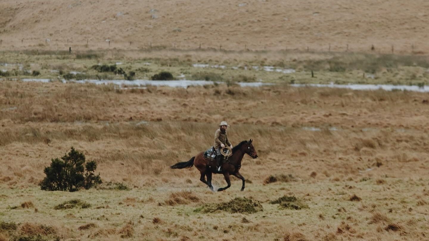 The Dartmoor Cowboy
