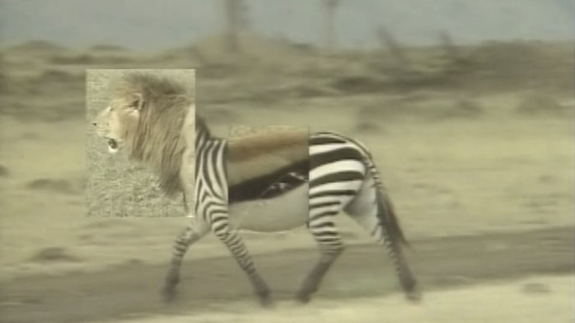 African Animal Puzzle