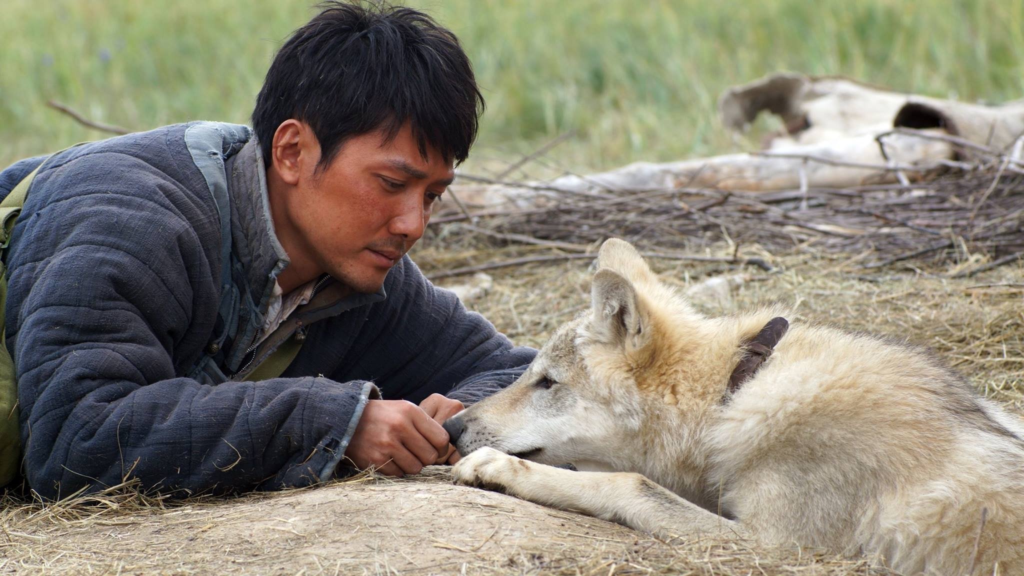 Wolf Totem