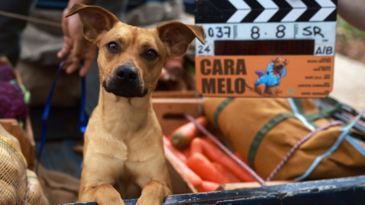 Caramelo