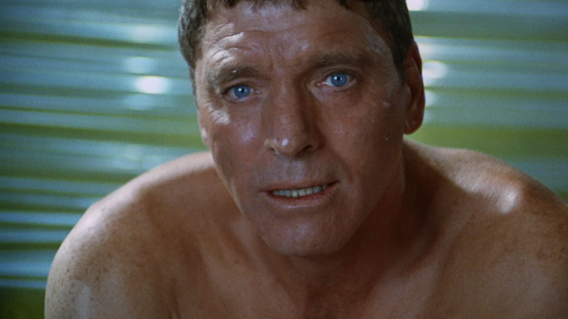 The Swimmer