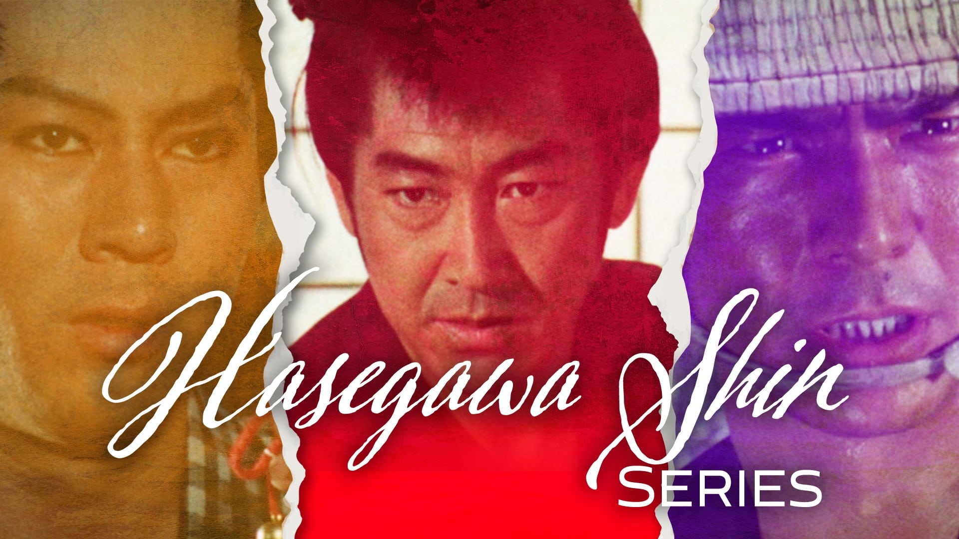 The Shin Hasegawa Series