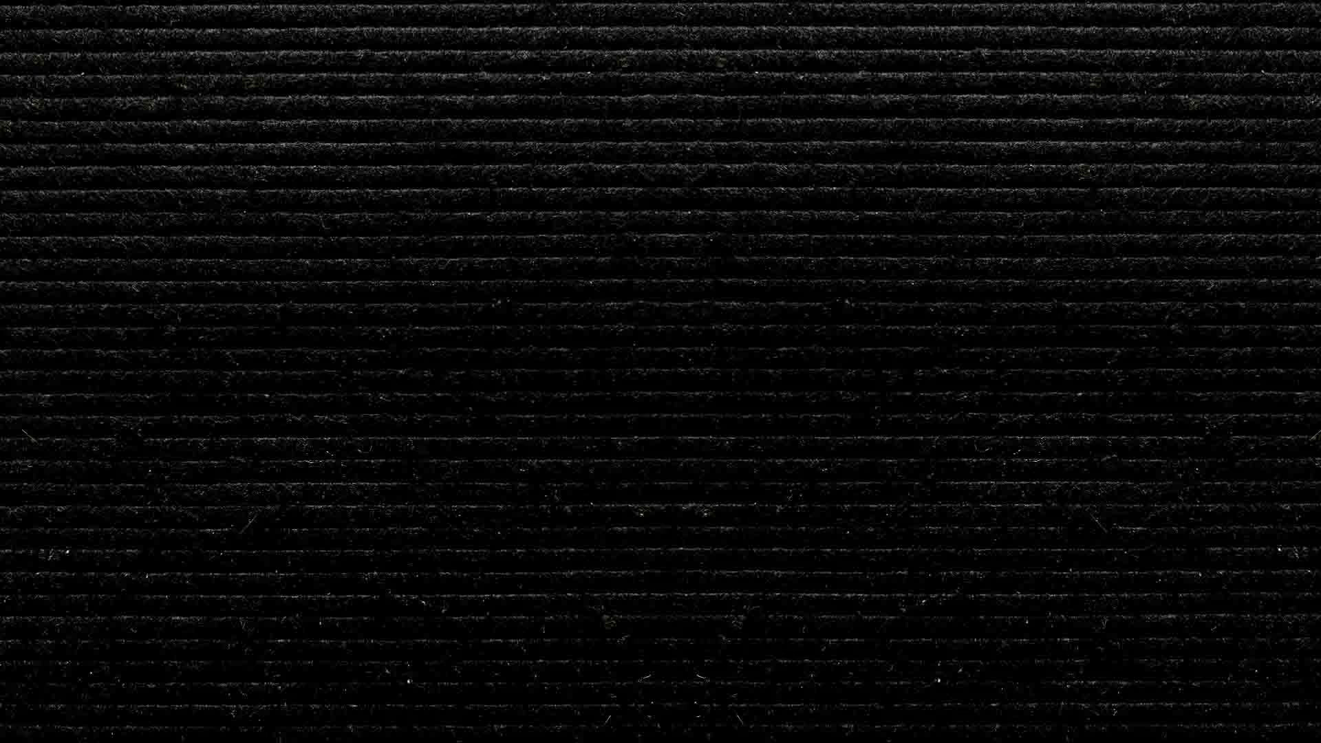 Celebrity Substitute