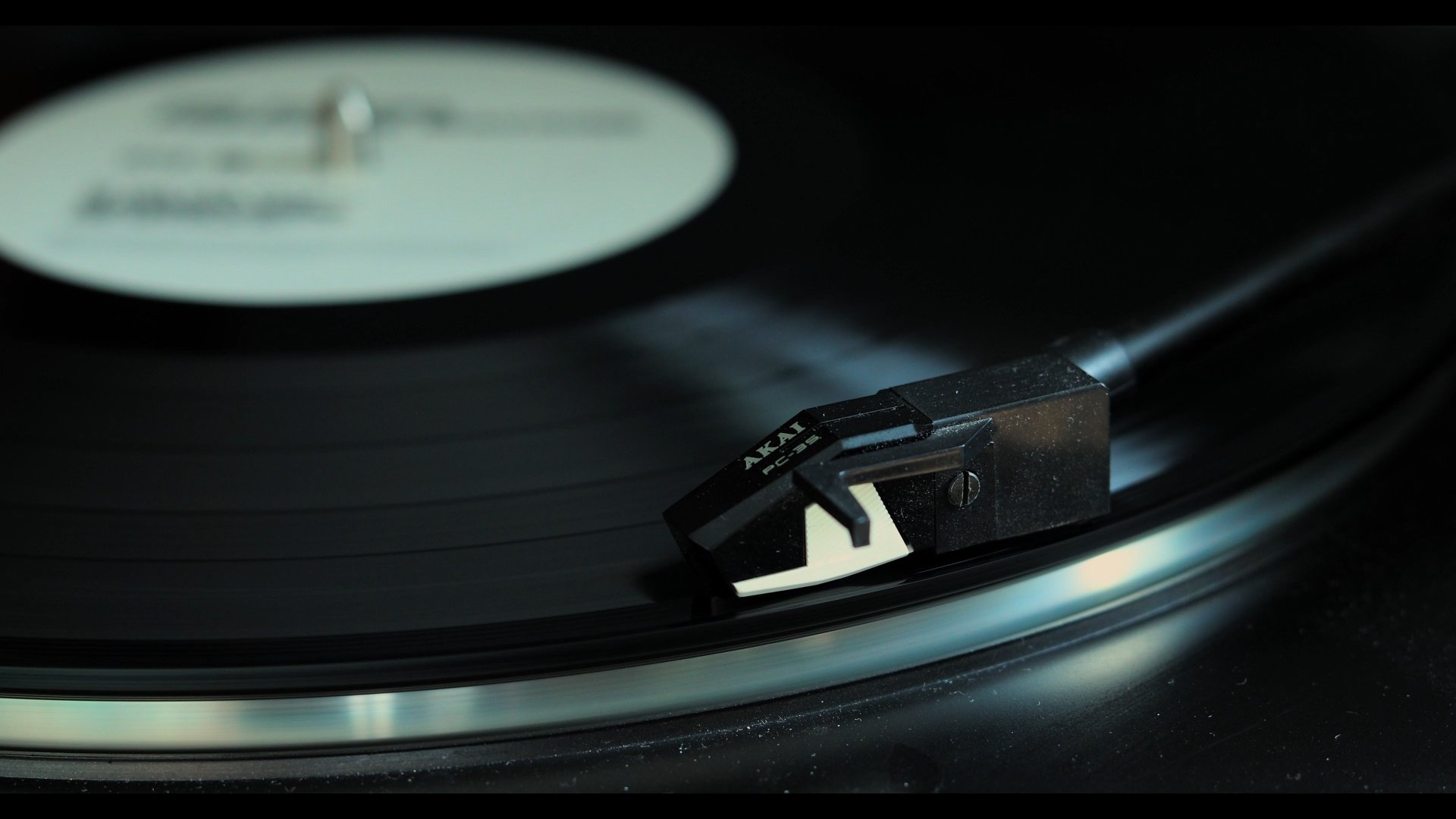 Please Don't Leave Me