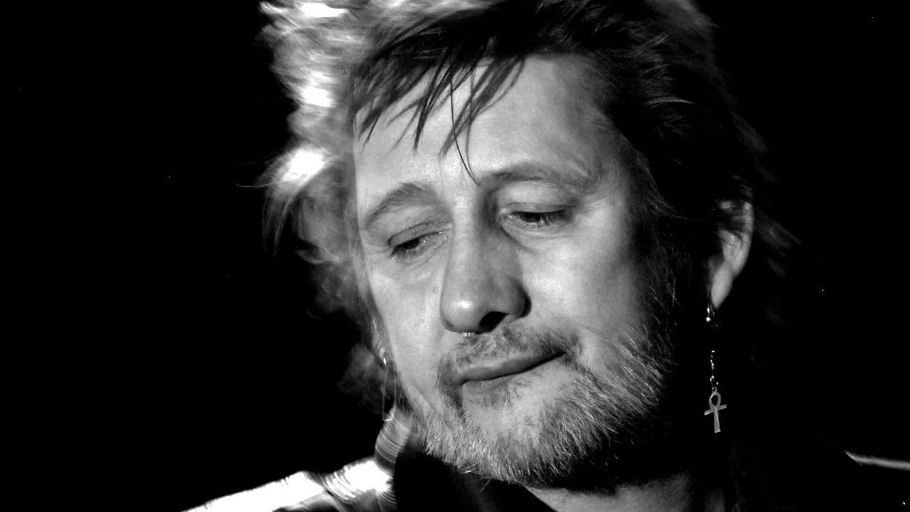 If I Should Fall from Grace: The Shane MacGowan Story