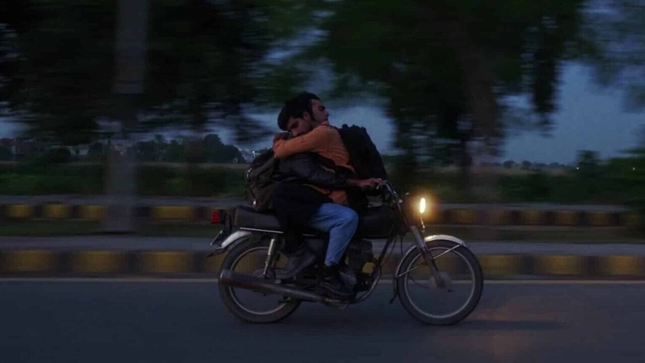 Cats Can Teach You To Die Alone