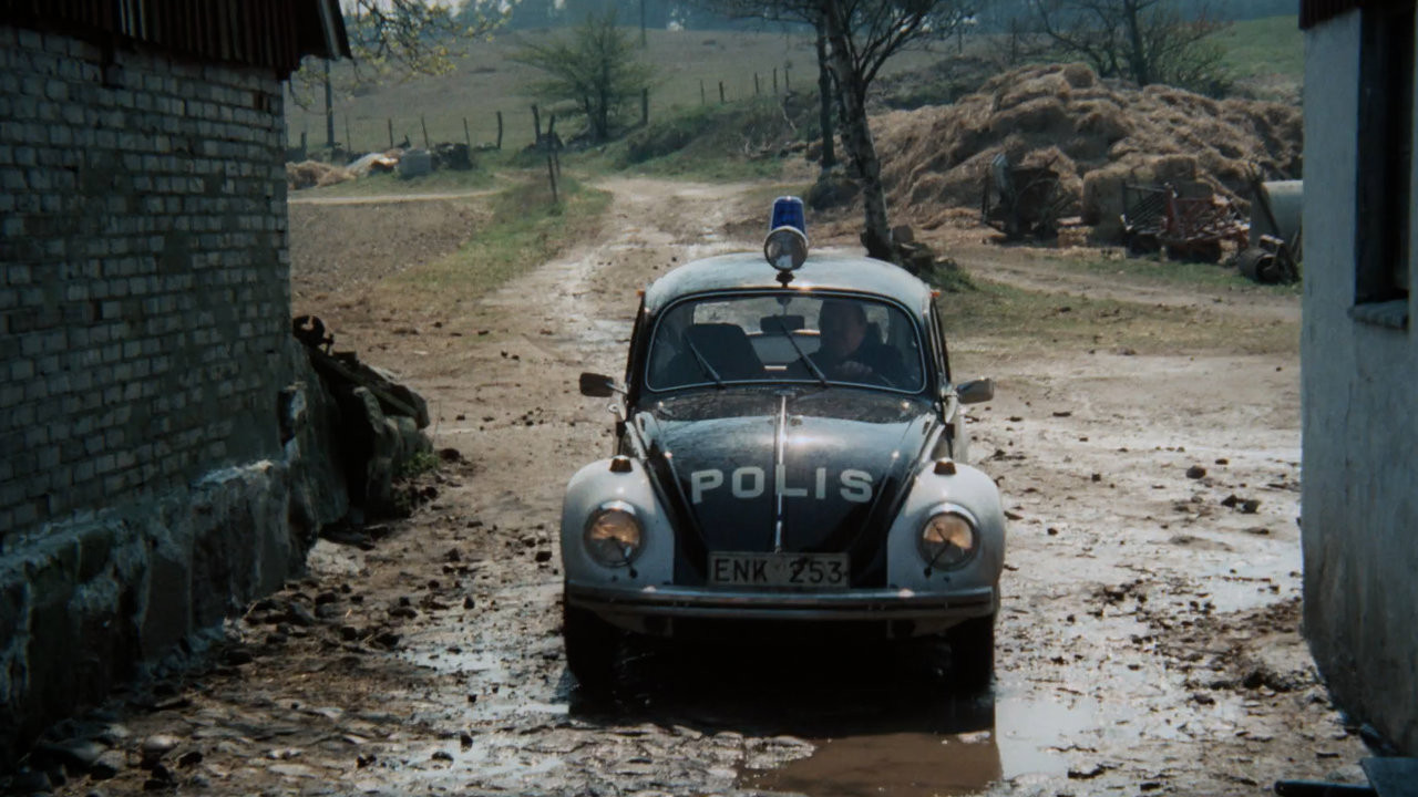 A Stranger Came by Train