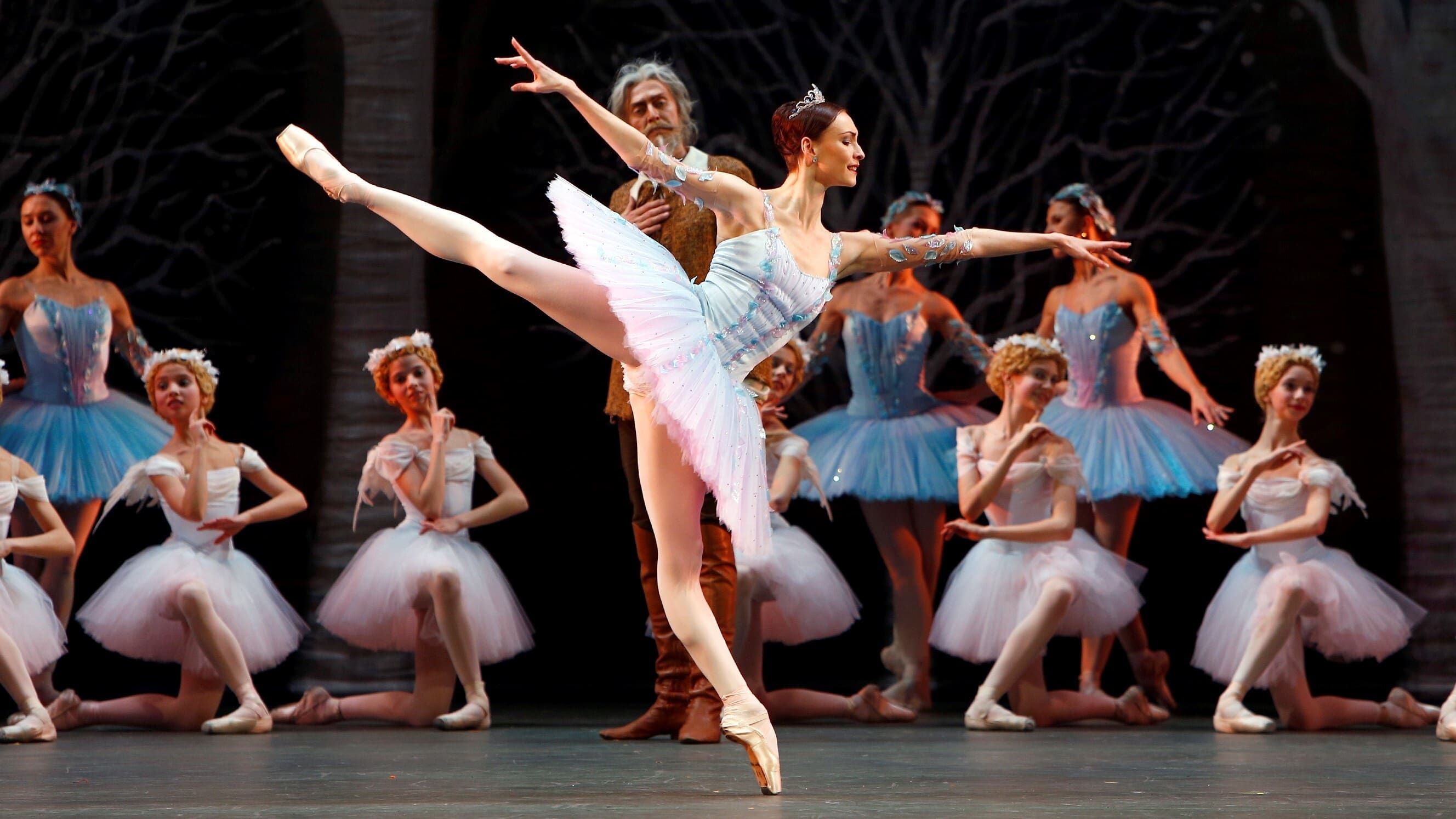 Bolshoi Ballet: Don Quixote