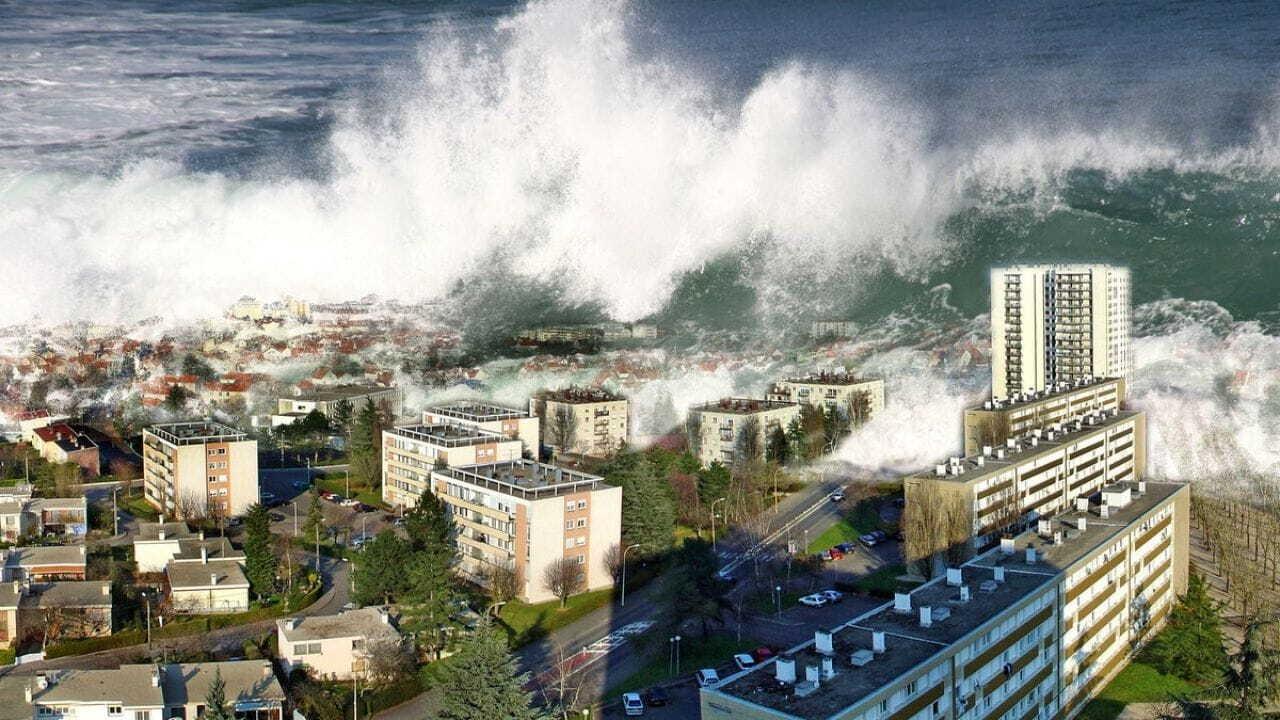 Tsunami: The Aftermath