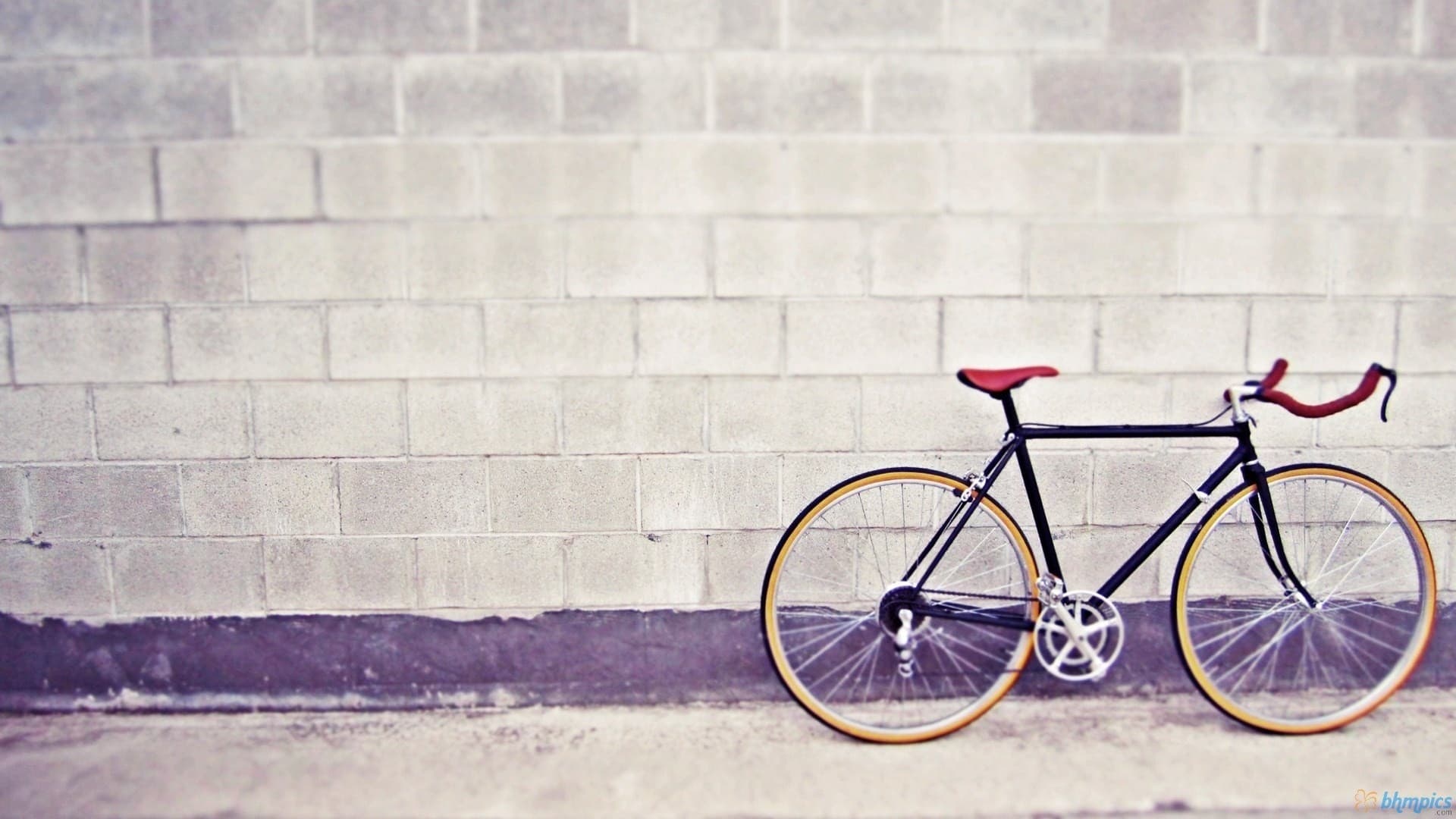 fixie