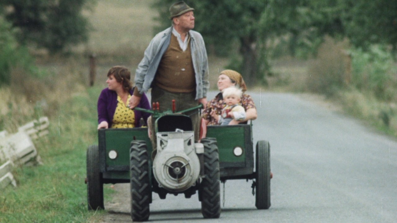 The Snowdrop Festival