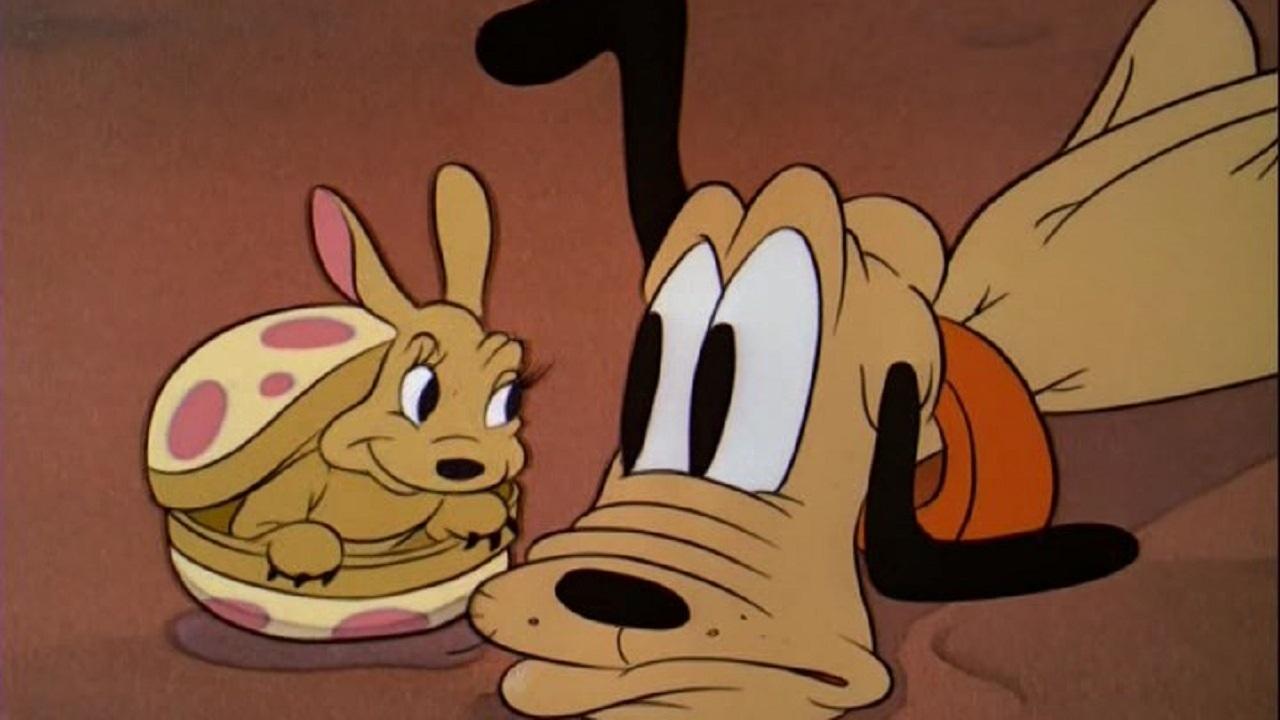 Pluto and the Armadillo