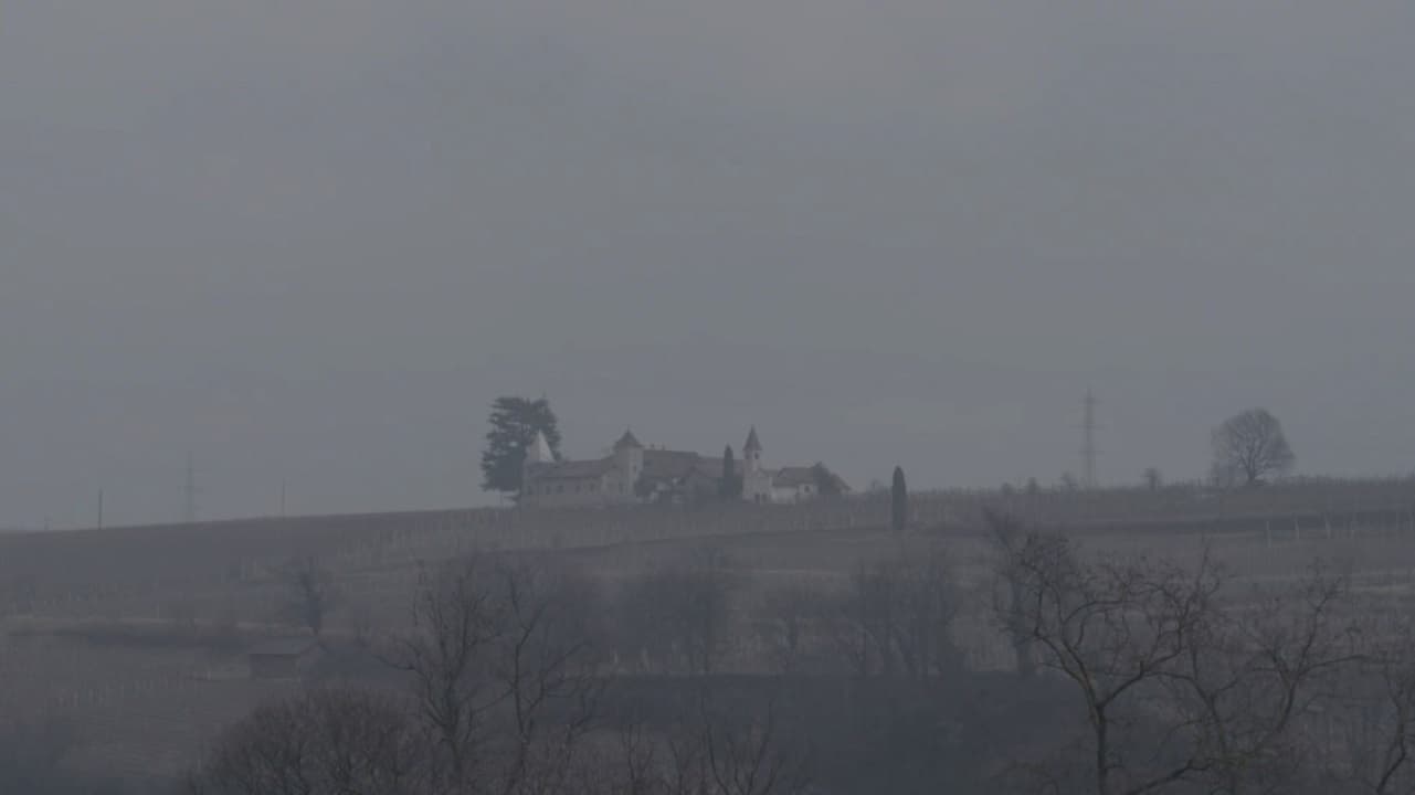 CrimeTube SouthTyrol