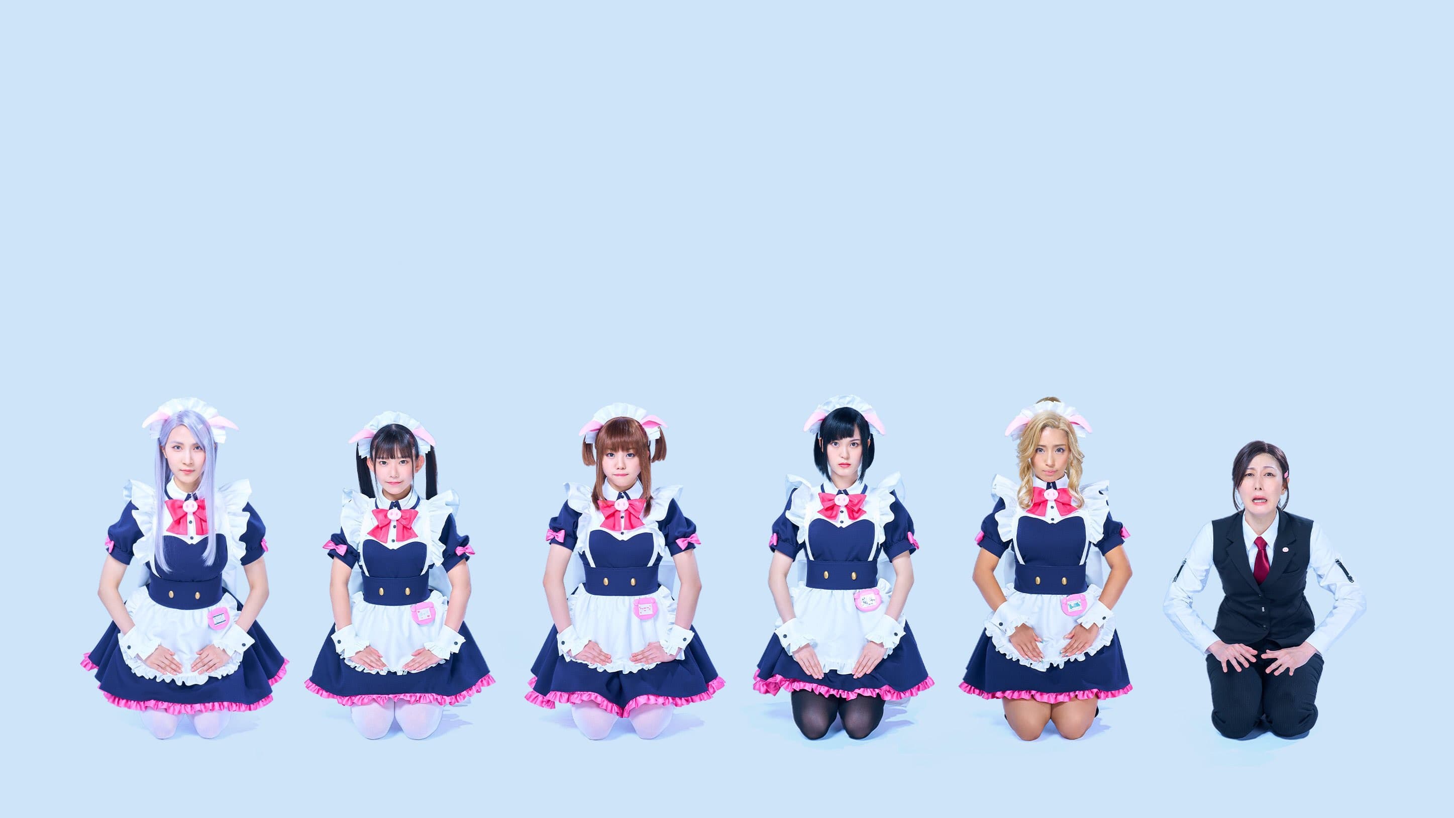 Akiba Maid War