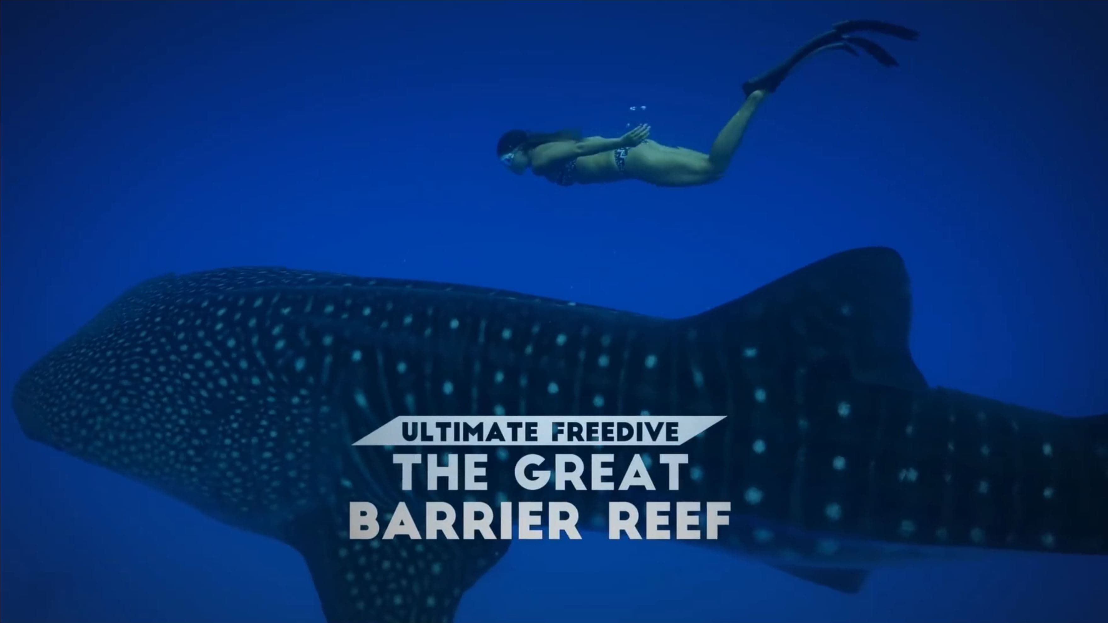 Ultimate Freedive: The Great Barrier Reef