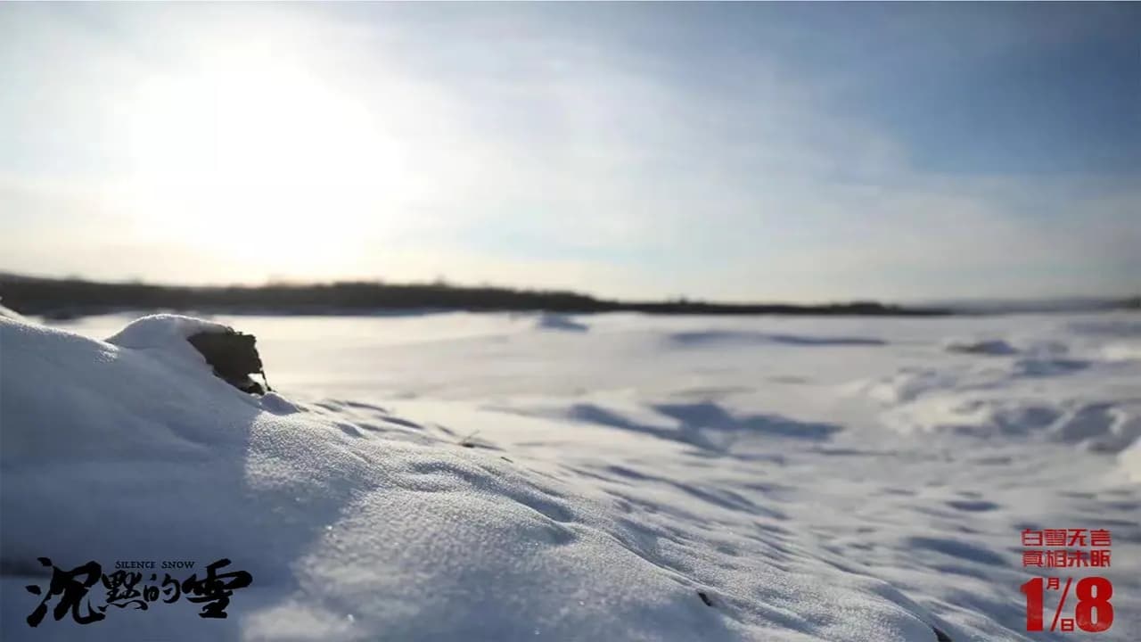 Silence Snow